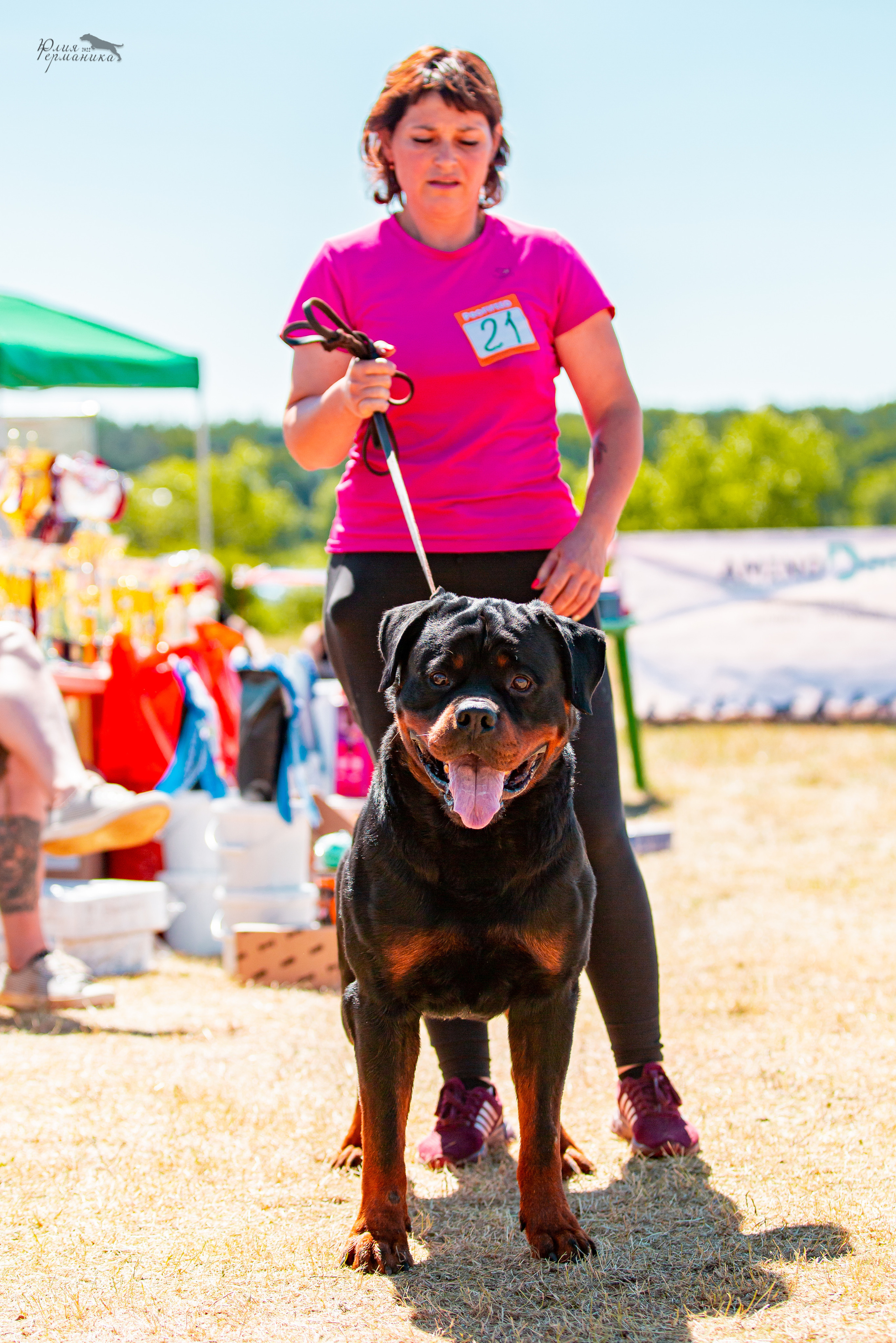 Тверь моно ротвейлеров 2-3.07.2022. Фотограф-анималист Юлия Германика