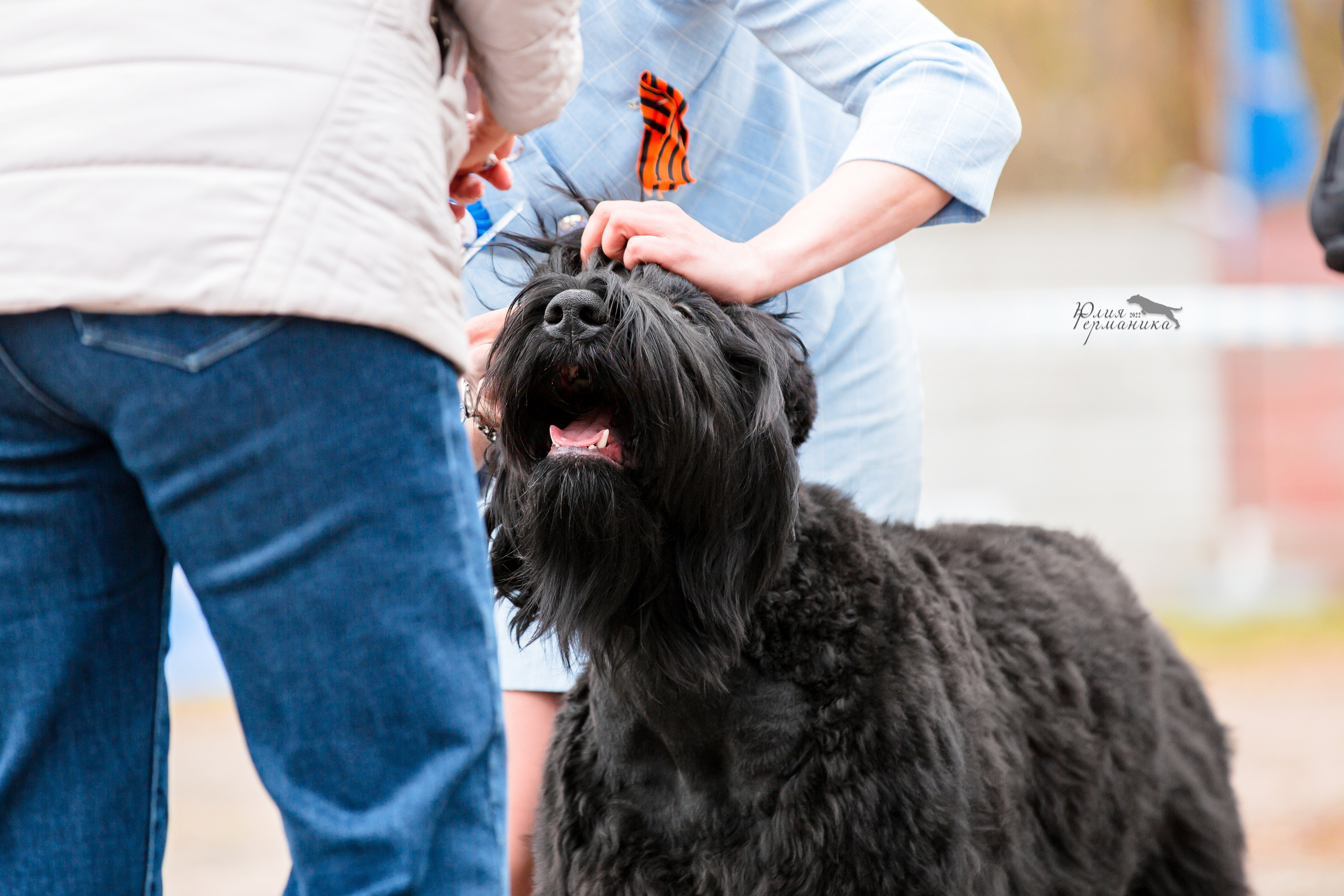 Александров 2хСАС 8 мая 2022. Фотограф-анималист Юлия Германика