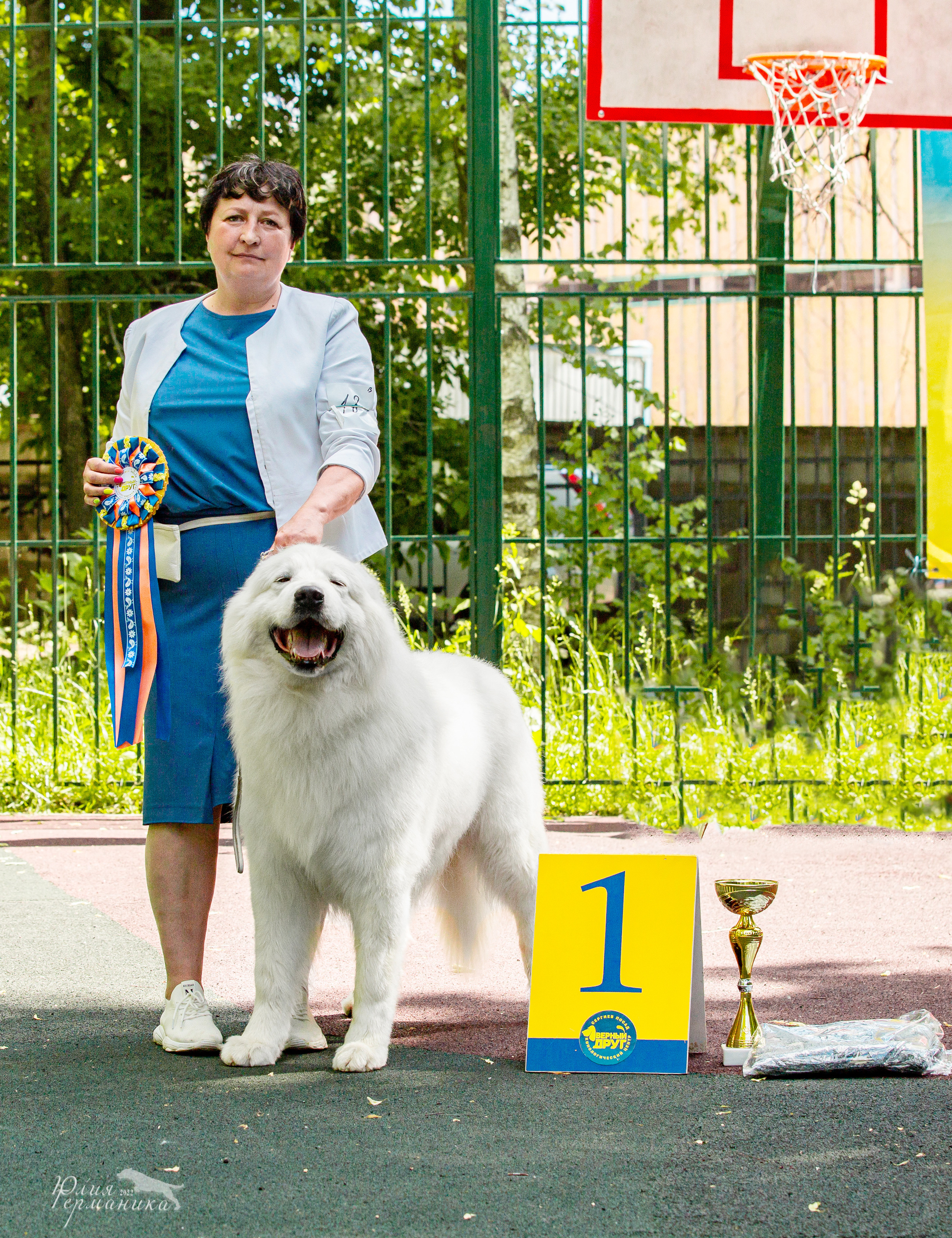 Сергиев Посад 2хСАС 25.06.2022. Фотограф-анималист Юлия Германика