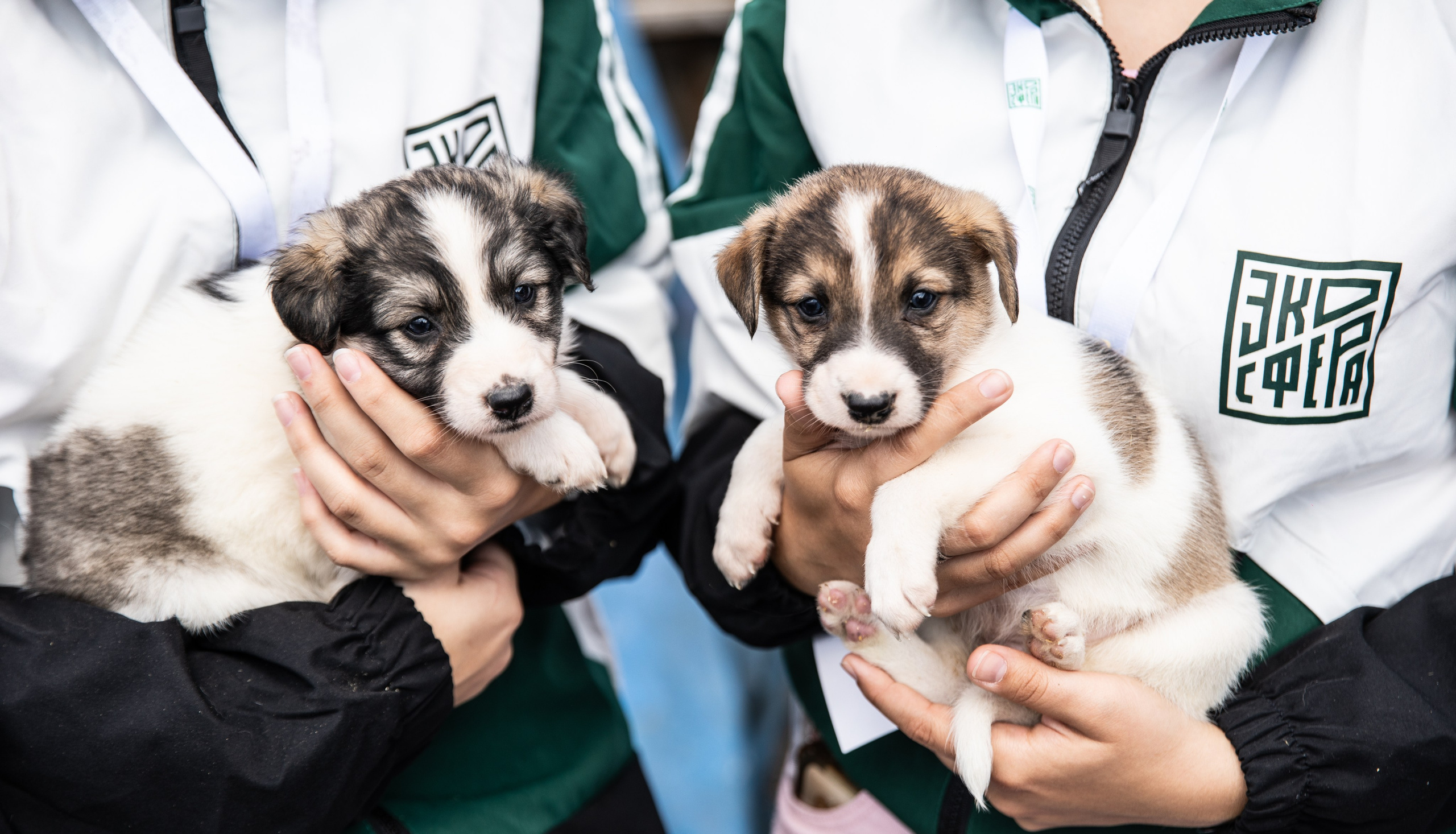 Приют — Наш дом. Репортажный и свадебный фотограф в Челябинске Елисеев Павел