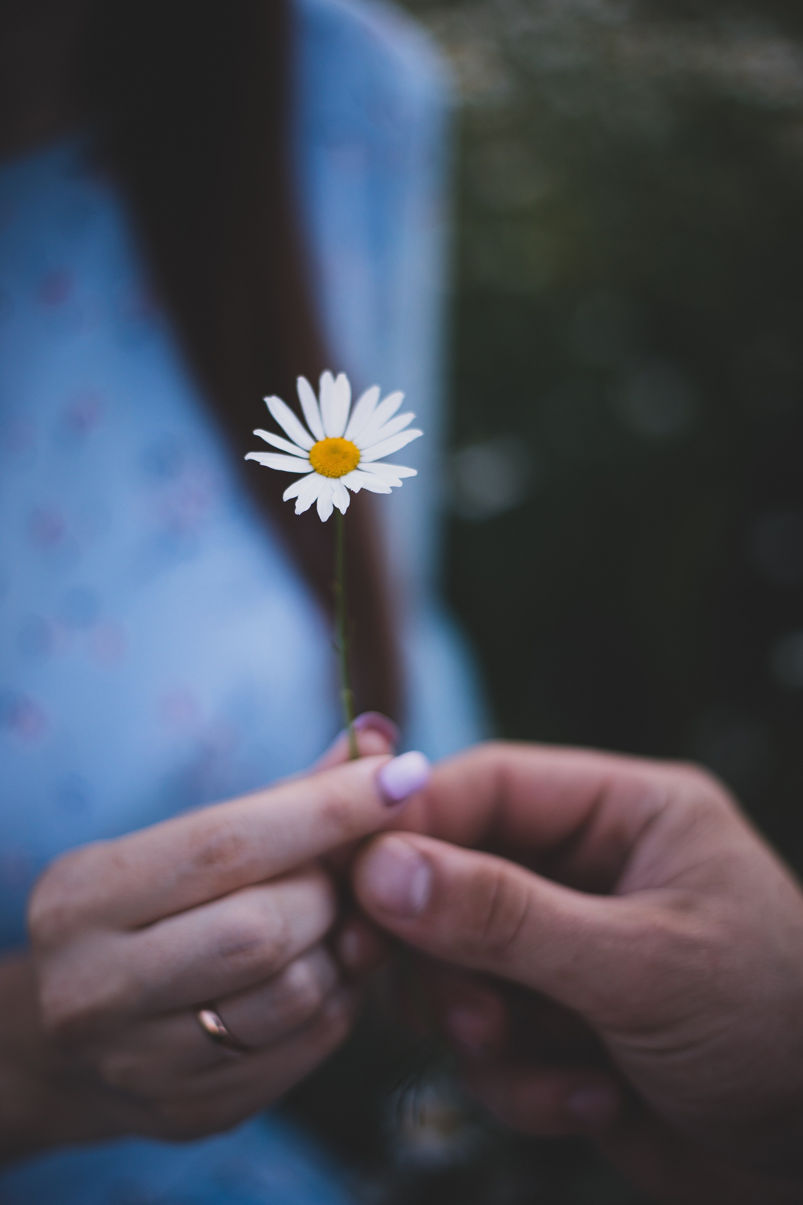Love story. Репортажный и свадебный фотограф в Челябинске Елисеев Павел