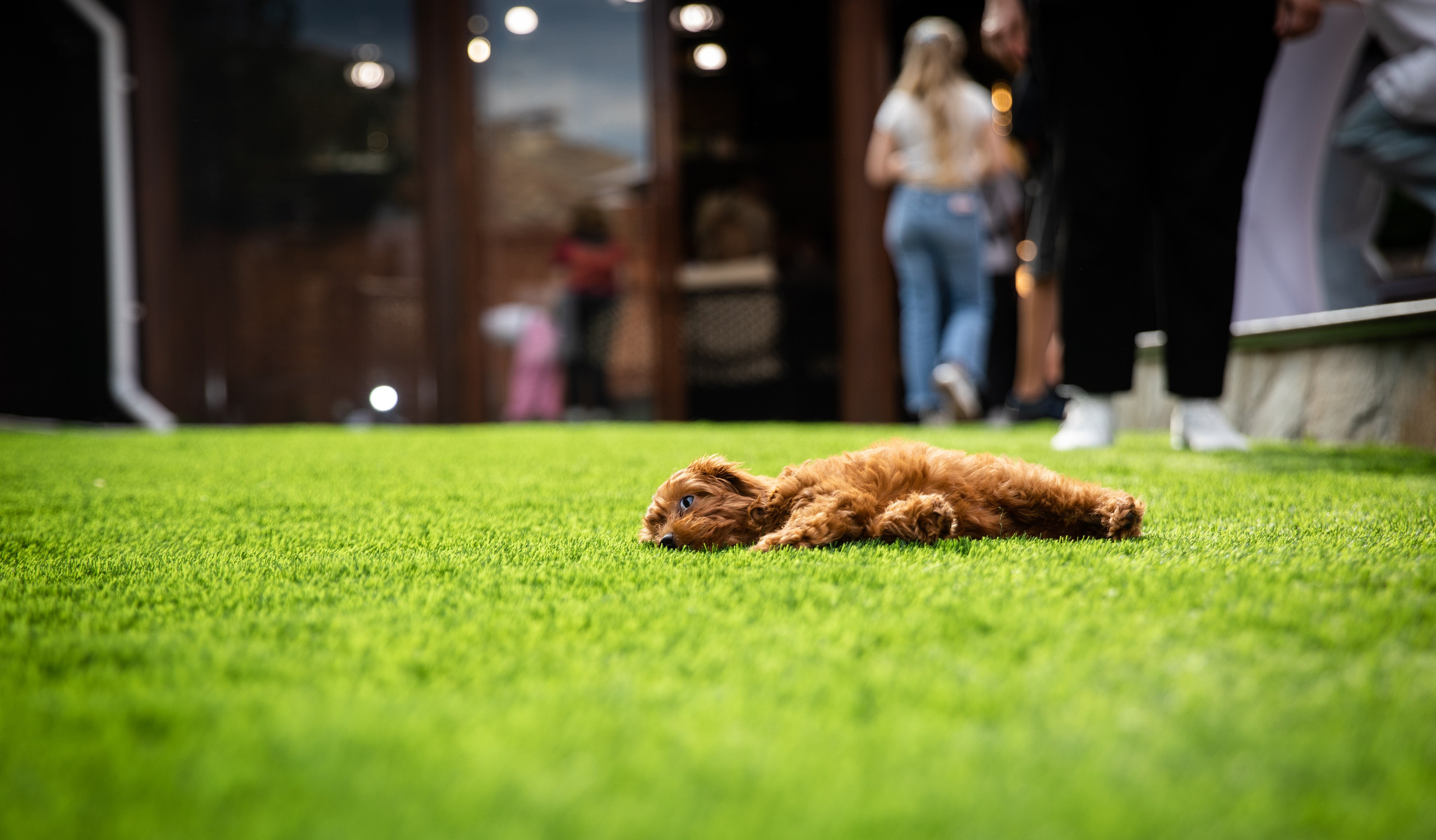 День Рождения Егорки -2025. VoronEvent. Репортажный и свадебный фотограф в Челябинске Елисеев Павел