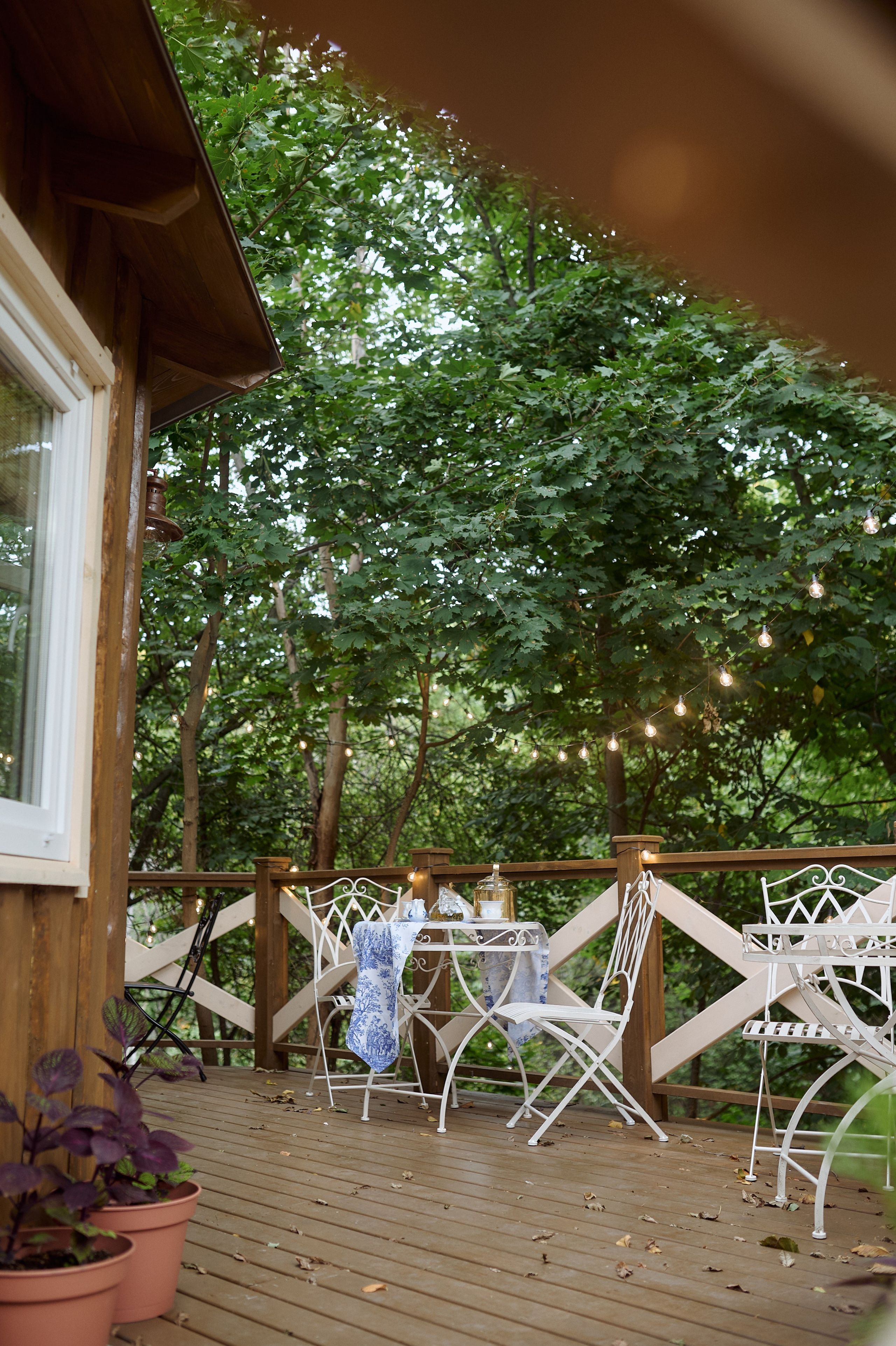 Алёна и Рада в Чайной. Семейный и свадебный lifestyle-фотограф в Москве Мария Петрова