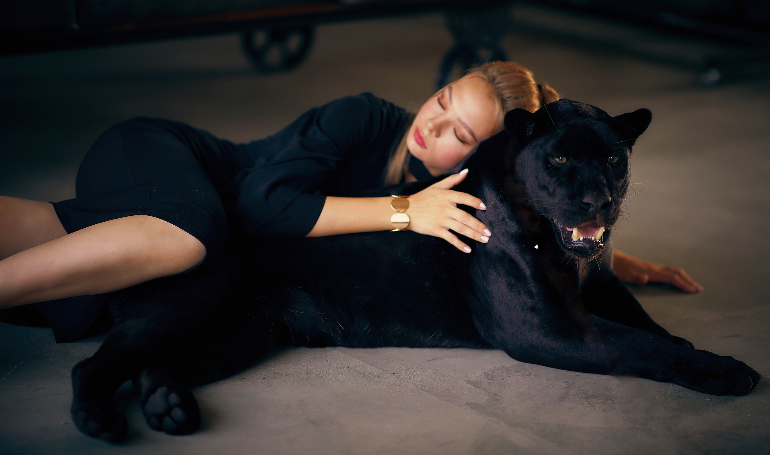 Съёмка с пантерой. Семейный и детский фотограф в Ярославле Юлия Галашина