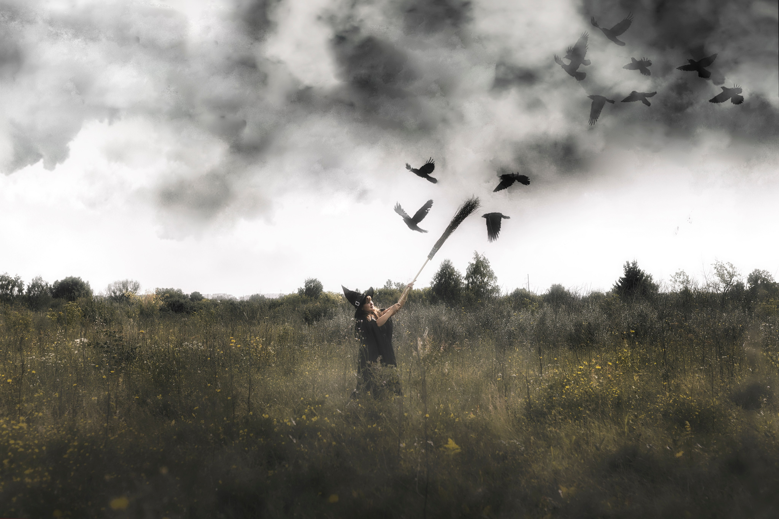 Творческие съемки. PROphoto