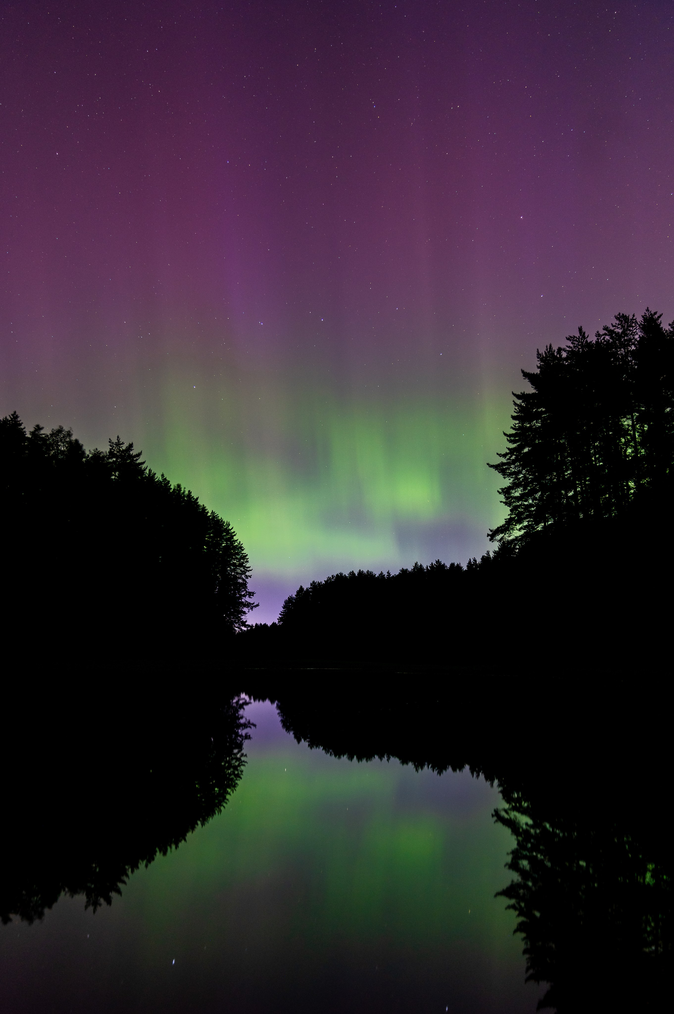 Фотогалерея Евгений Мальцев: Природа, пейзажи. Репортажный фотограф Санкт-Петербург | Мальцев Евгений