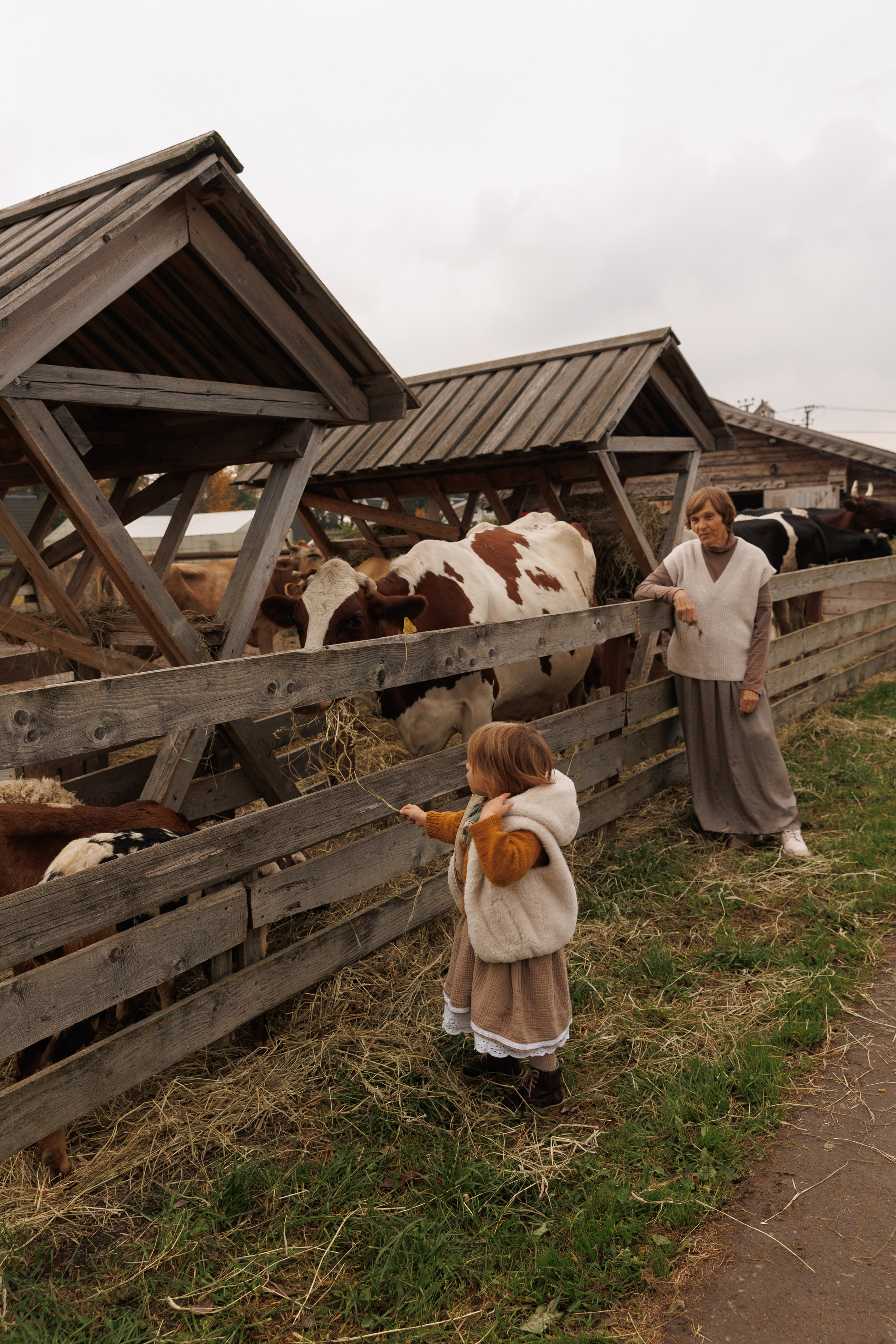 Осенняя прогулка (село Остров). Фотограф в Красногорске и Москве