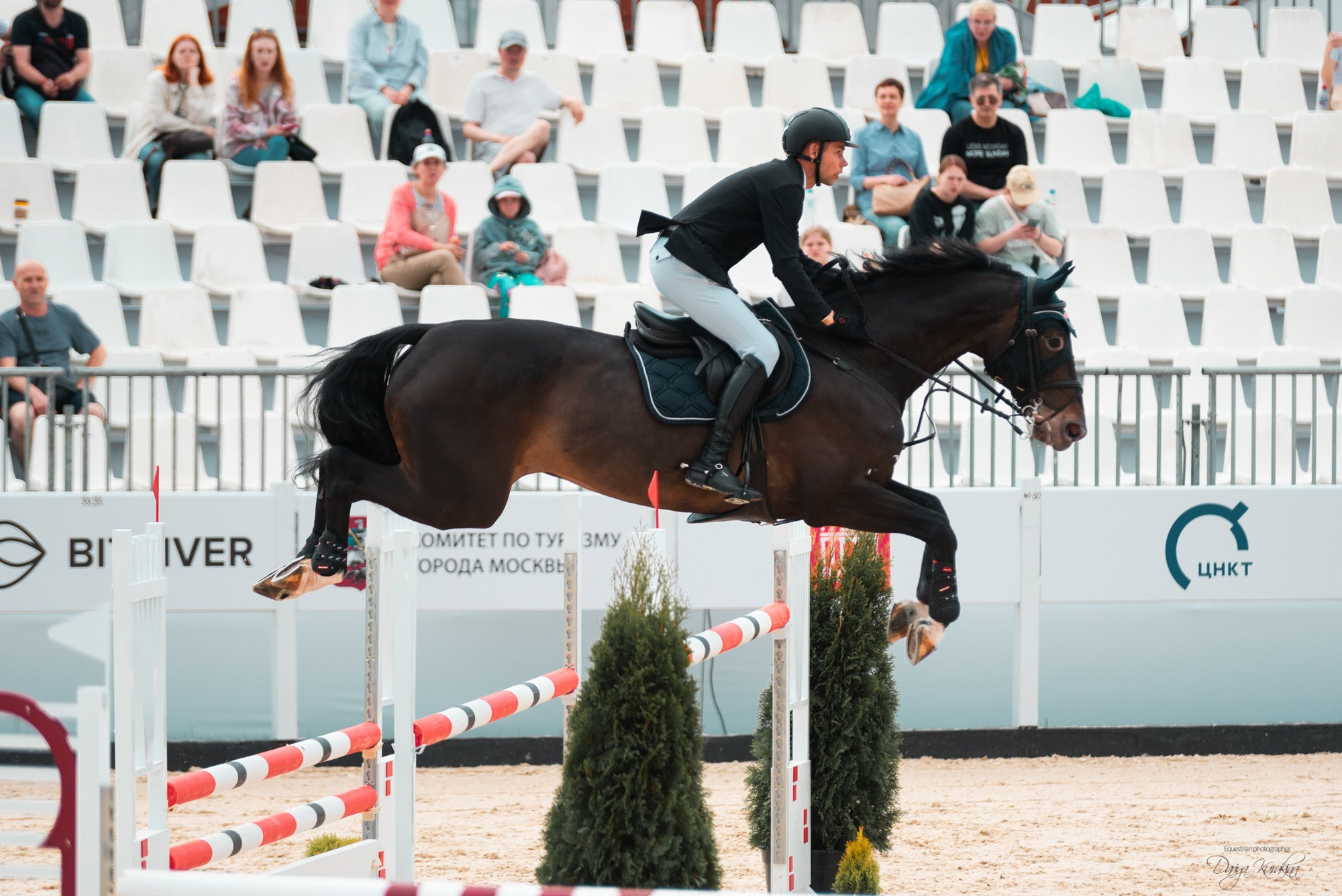 BITRIVER CUP 2023. Конный фотограф Куракина Дарья • Фотосессии с лошадьми