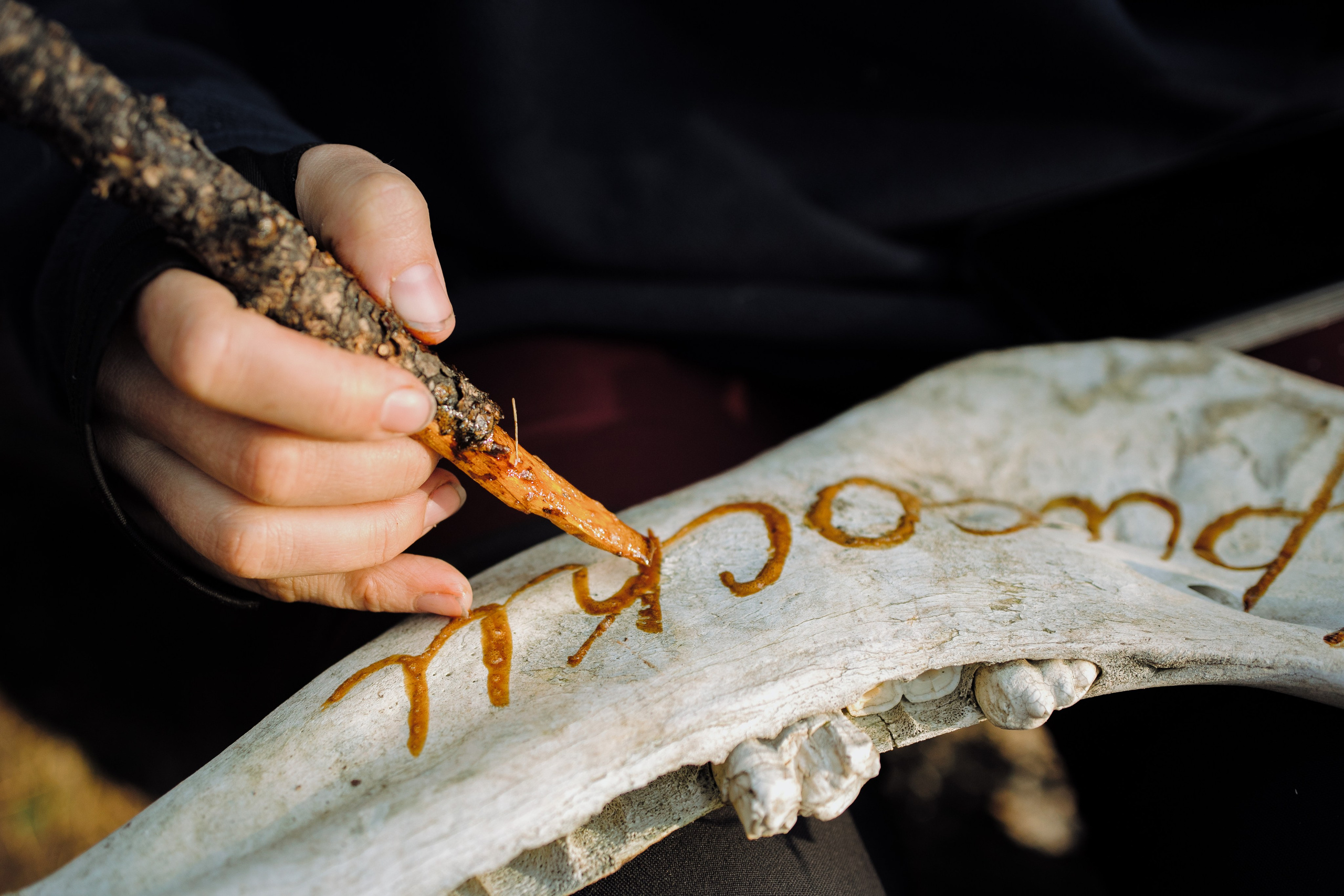 Шавлинские. Главная