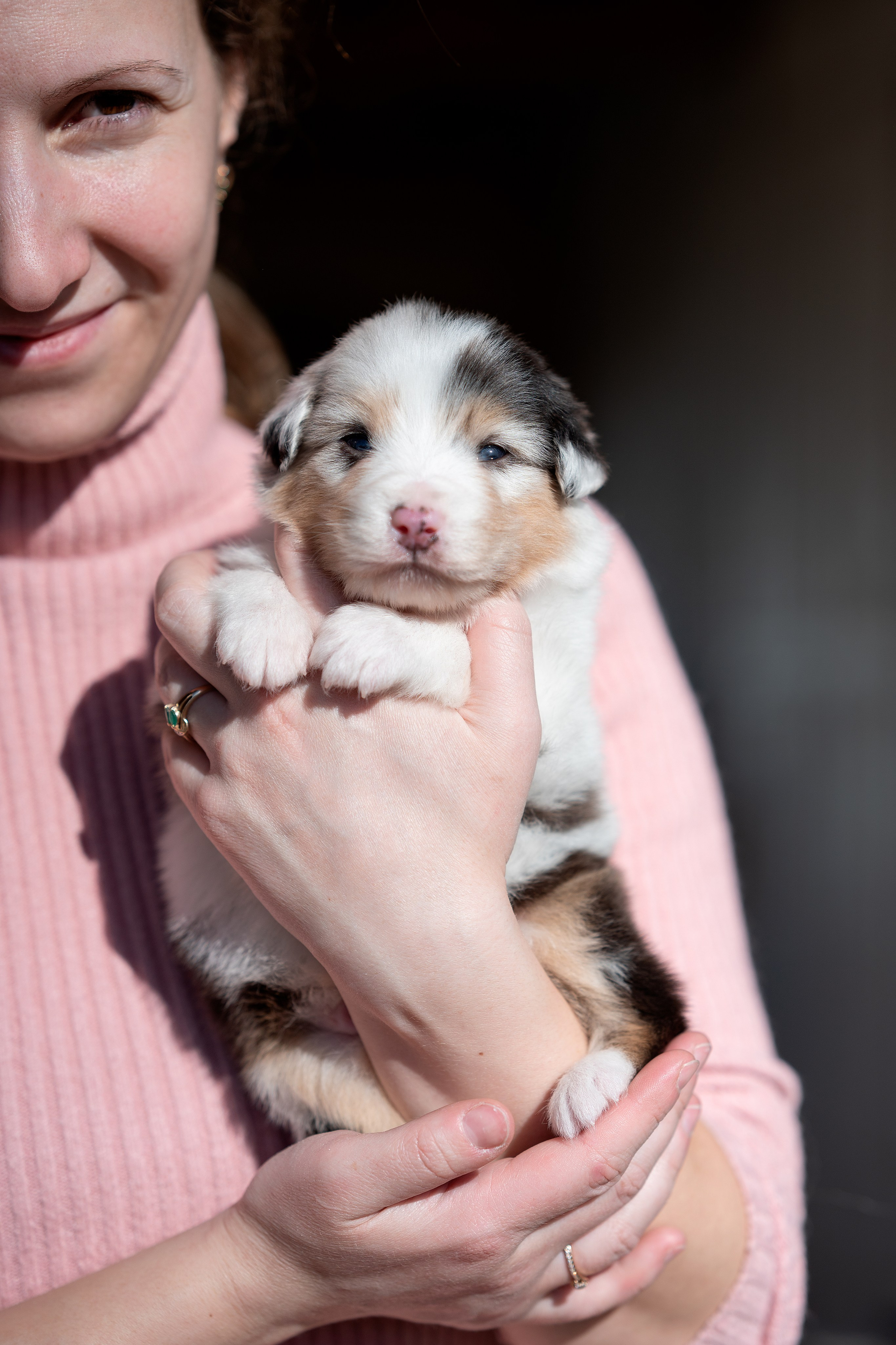 Заводчик Влада Эльман. Творческий фотограф Вологда
