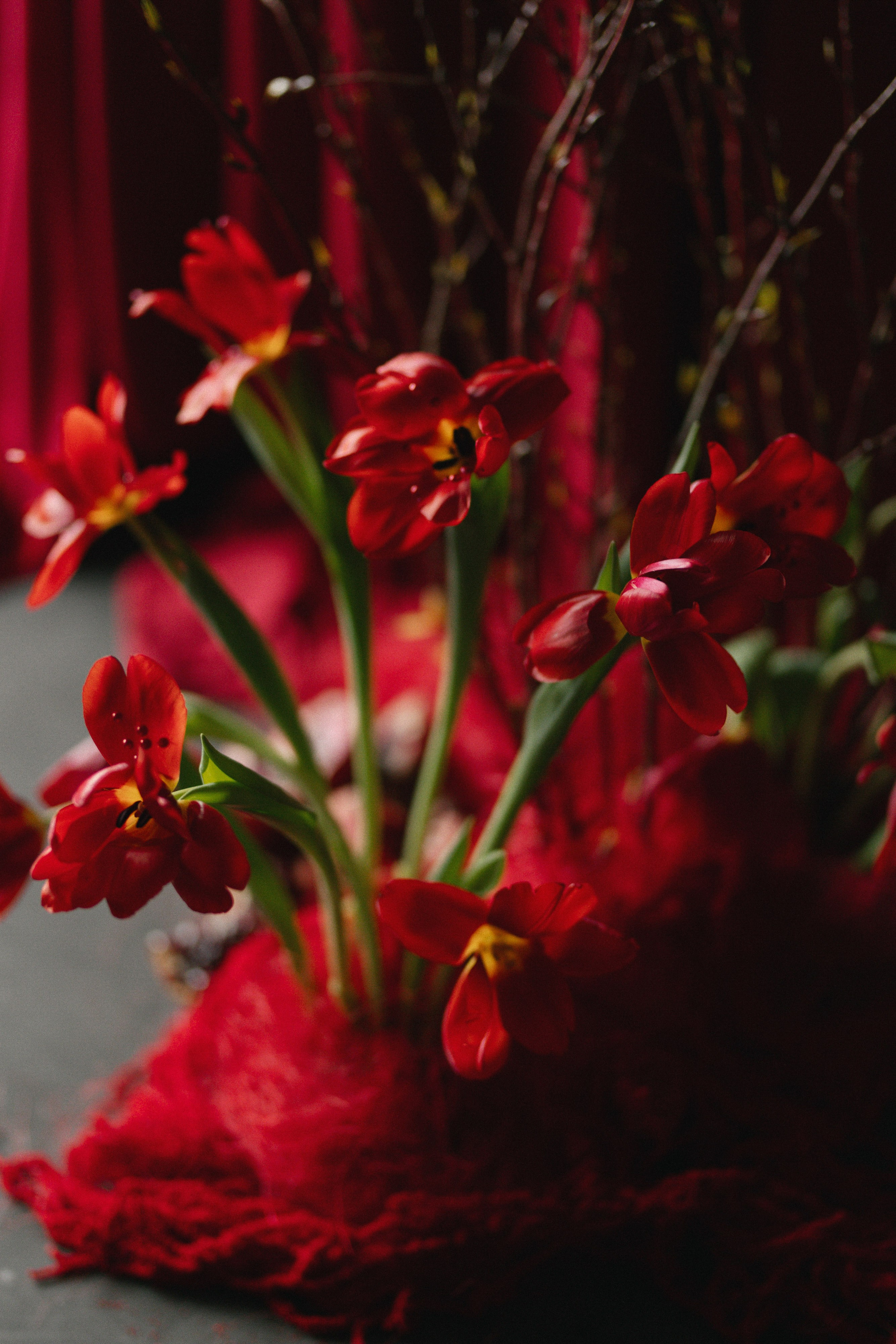 СВАДЬБЫ. Maria Startseva Photo