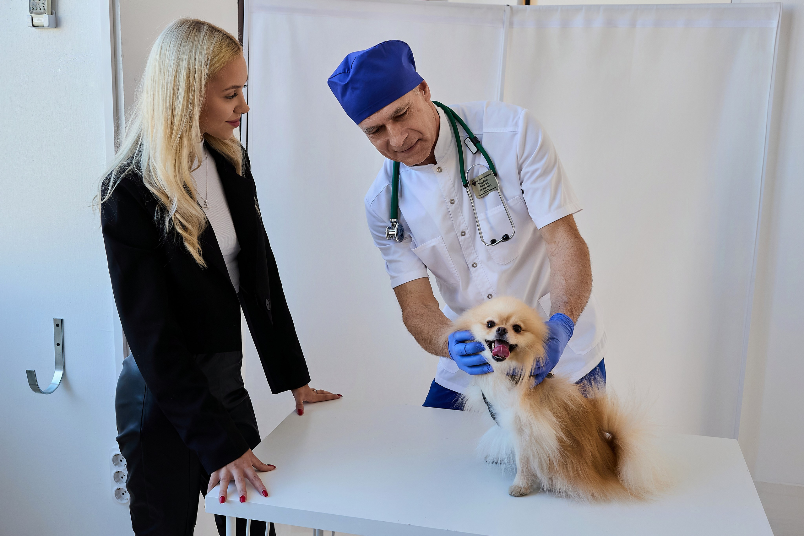 Контент для ветеринарного лендинга правительства Москвы. Фотограф и Видеограф в Москве. Олег Корушев