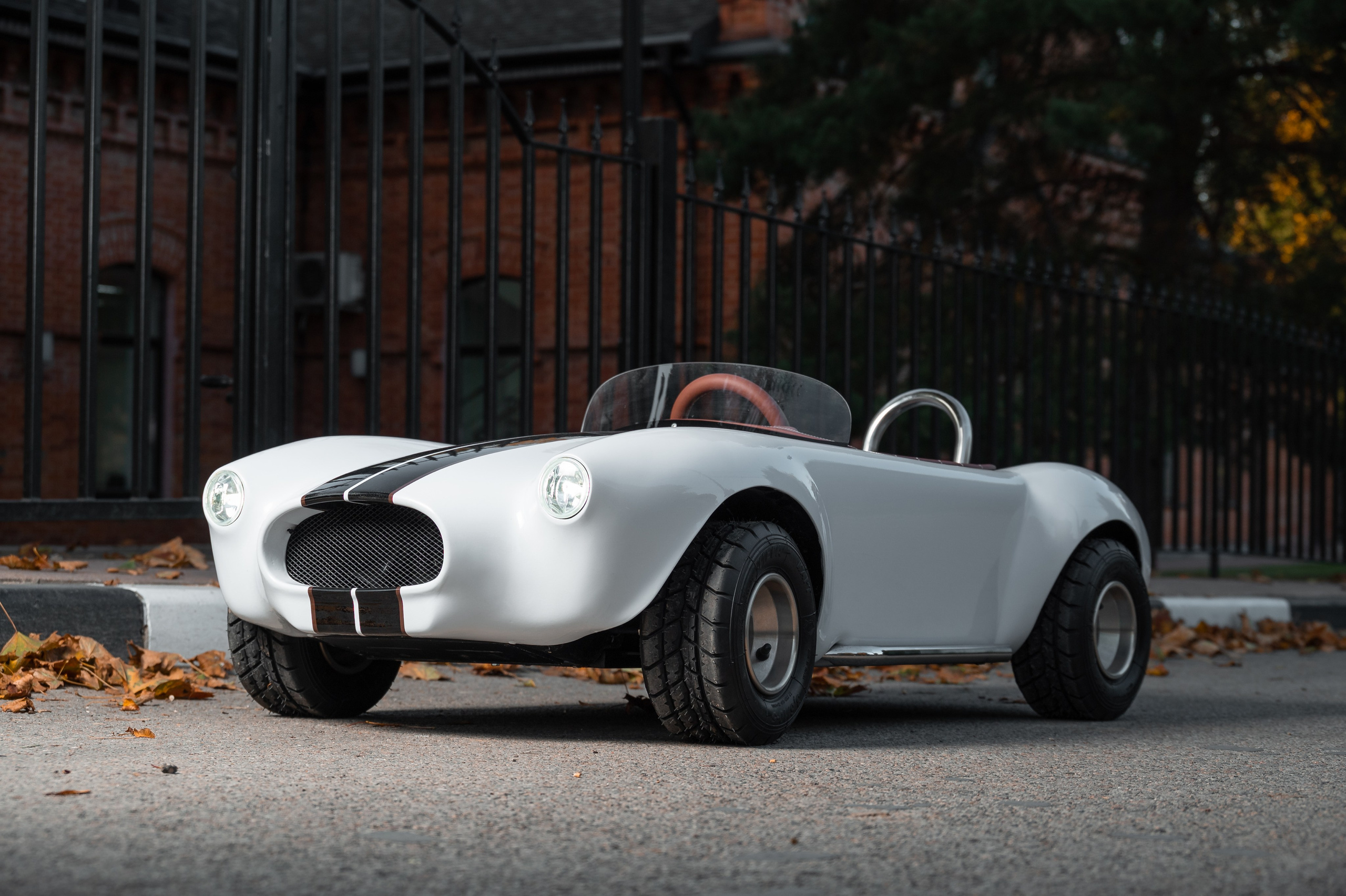 Cobra Mini. Фотограф и видеооператор в Туле | Даниил Рыбак