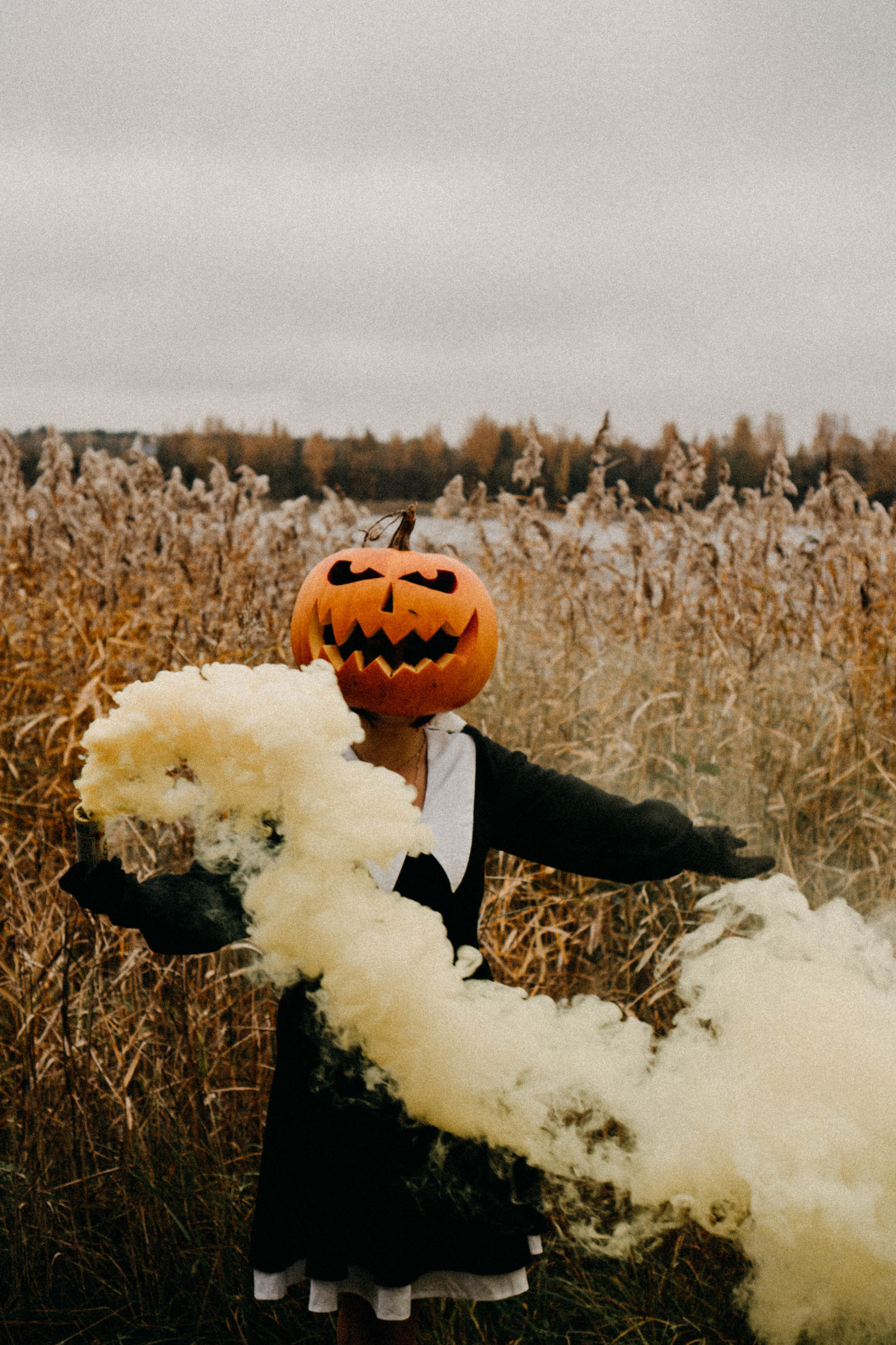 Осеняя. Профессиональный фотограф, Санкт-Петербург — Виктория Богомолова