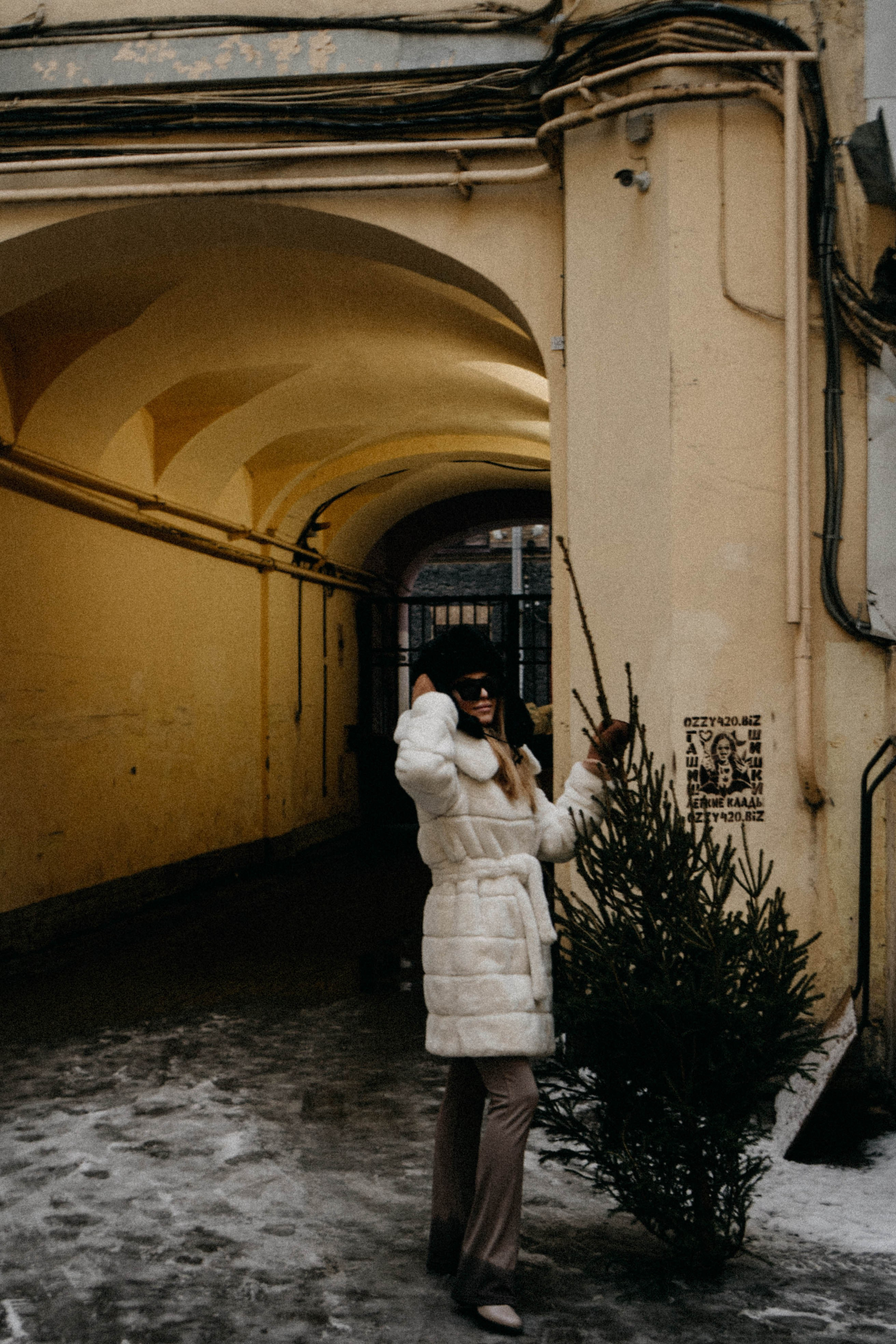 Новогодняя. Профессиональный фотограф, Санкт-Петербург — Виктория Богомолова
