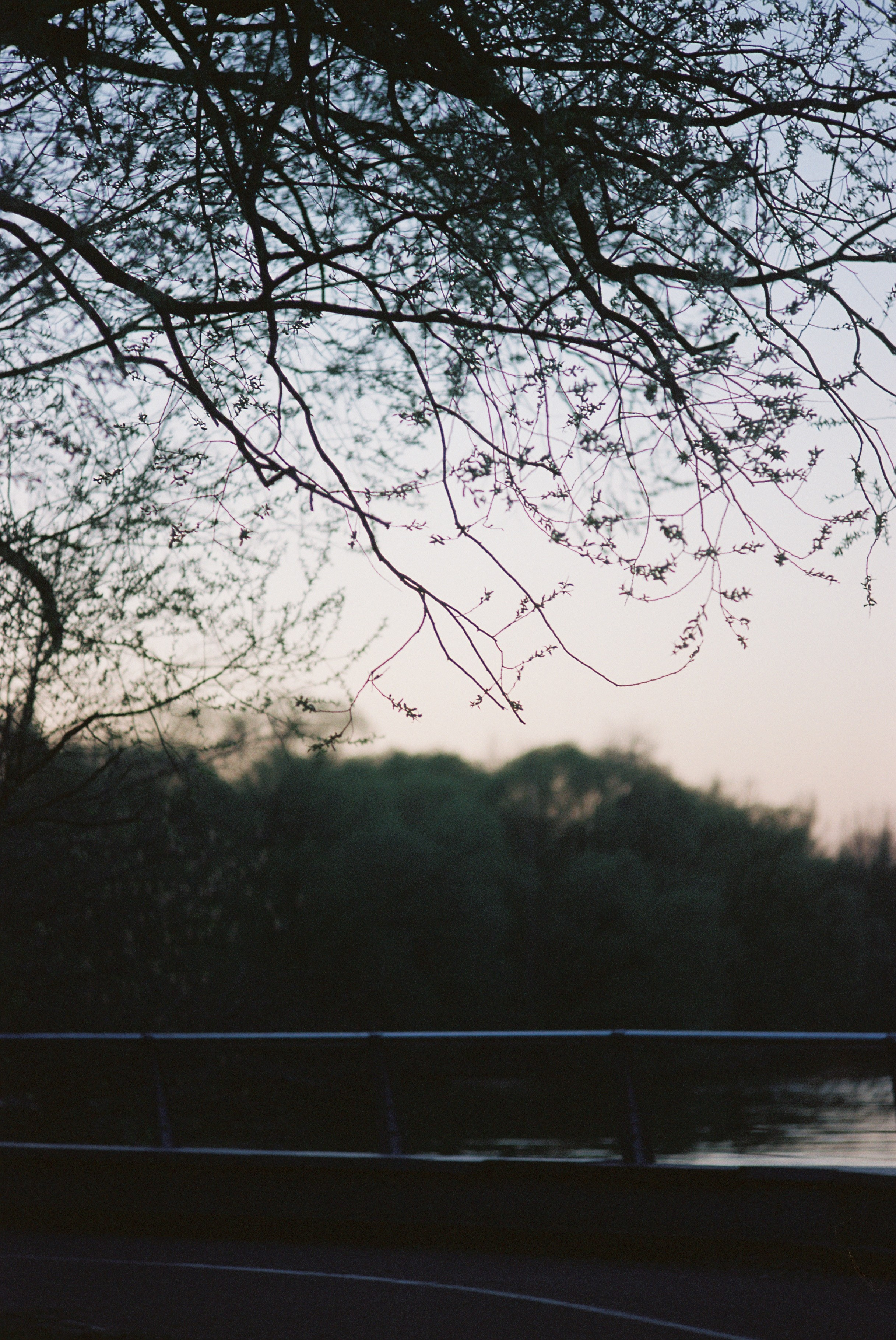 Кира Кечекьян — фотограф в Москве
