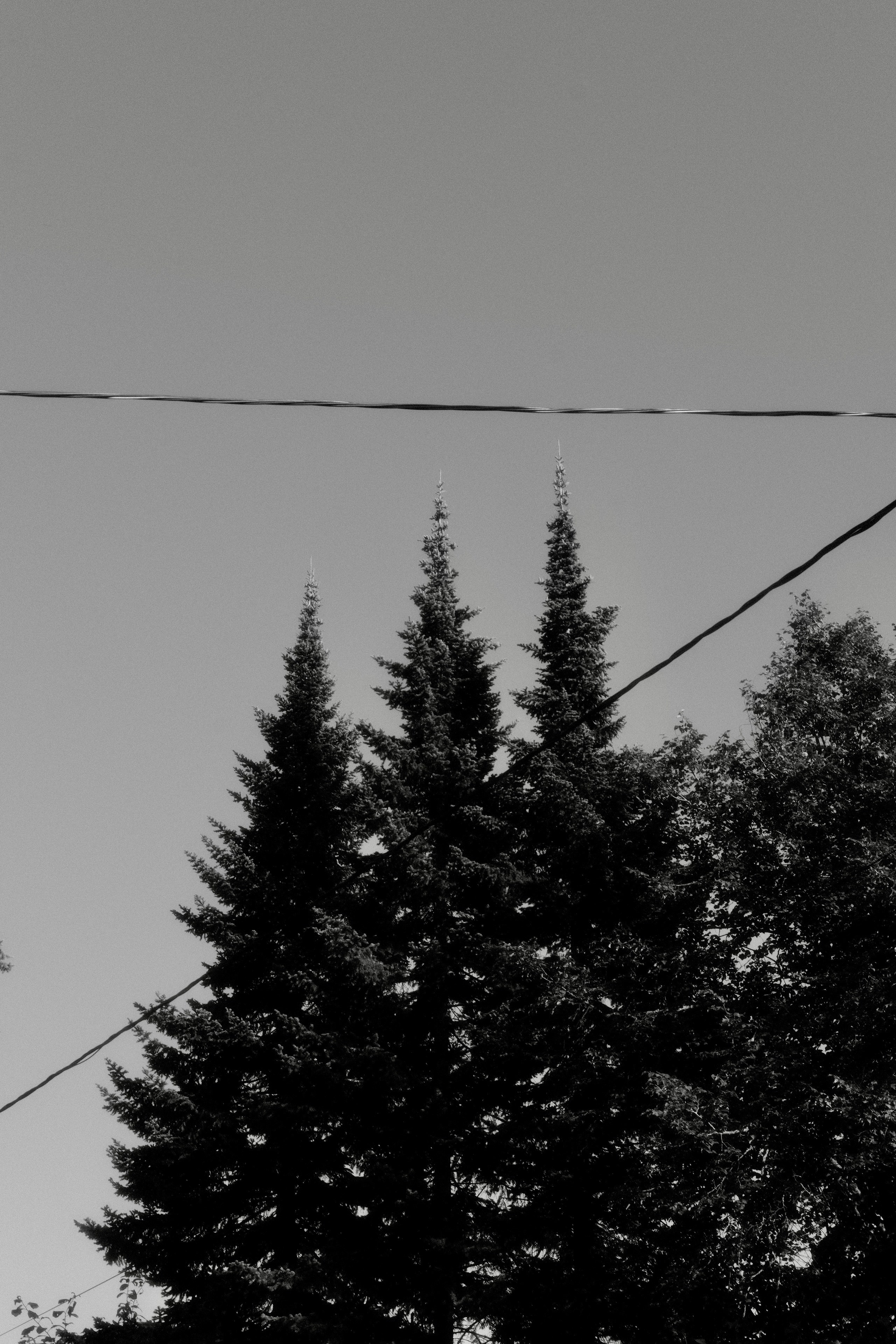 Природа. Фотограф Маргана Лоция