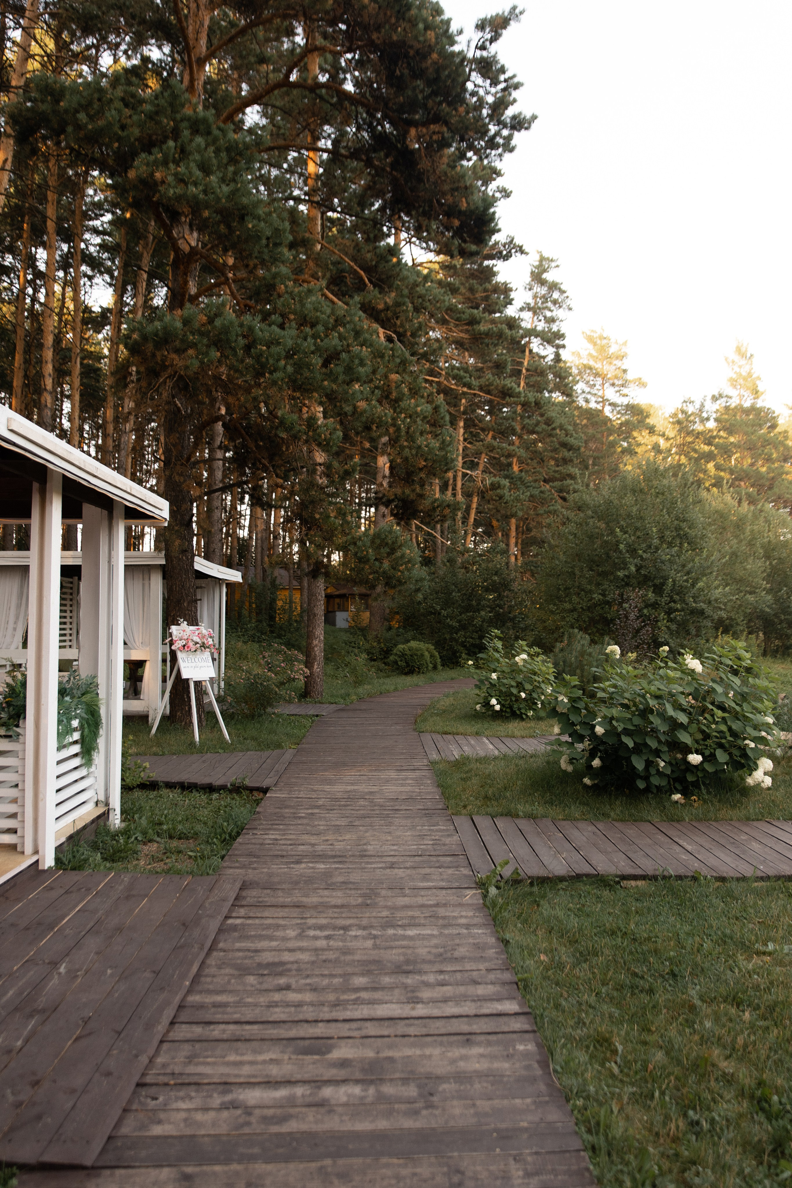 Wedding. Главная