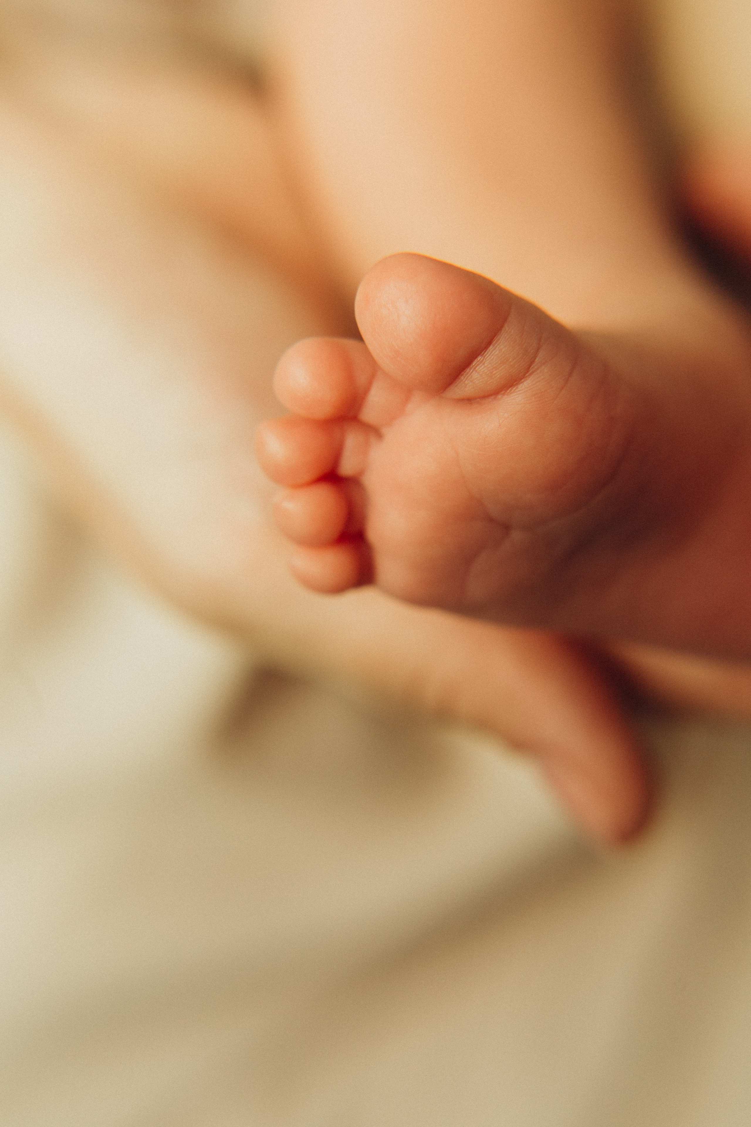 Home V&K&M. Семейный и детский фотограф Башкатова Дарья Старый Оскол