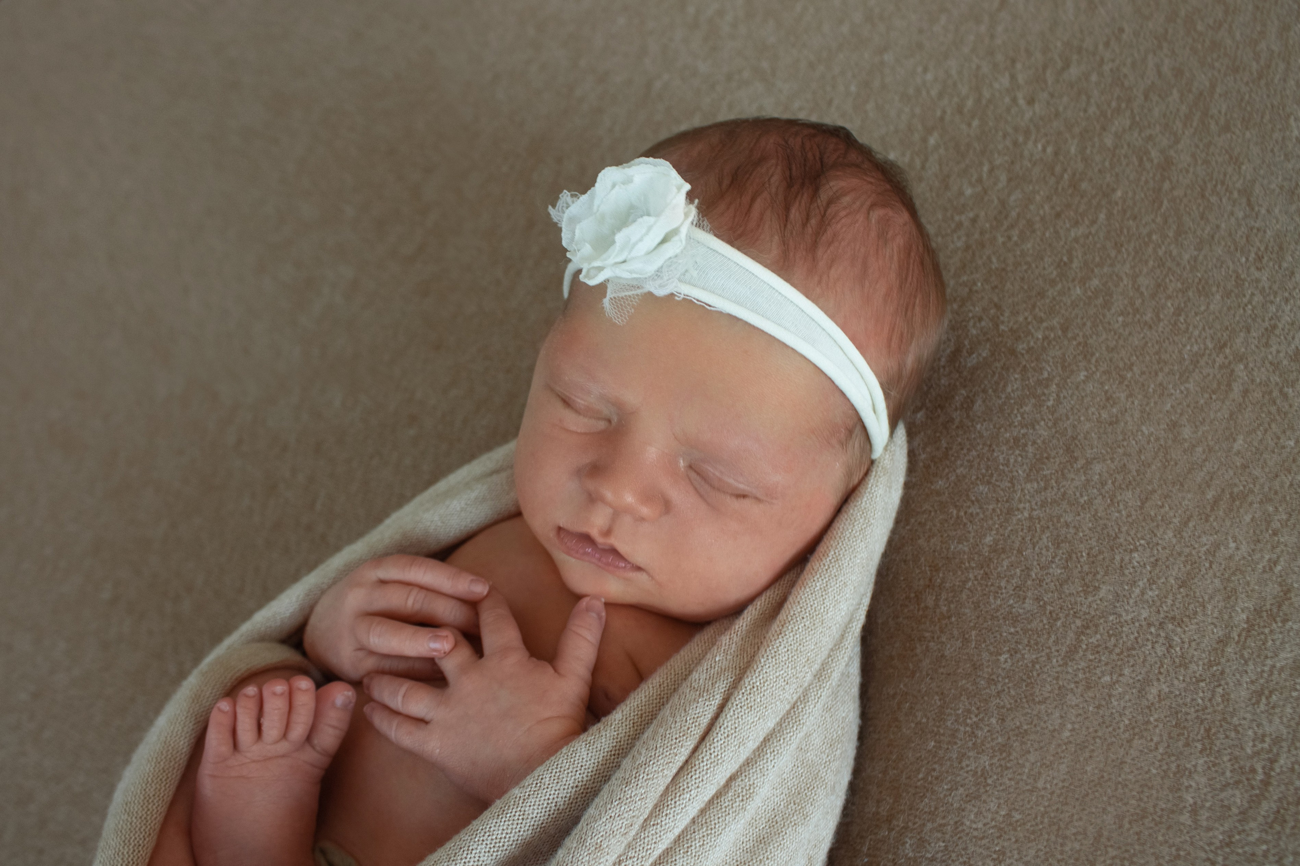 Newborn. Фотограф новорожденных Новосибирск