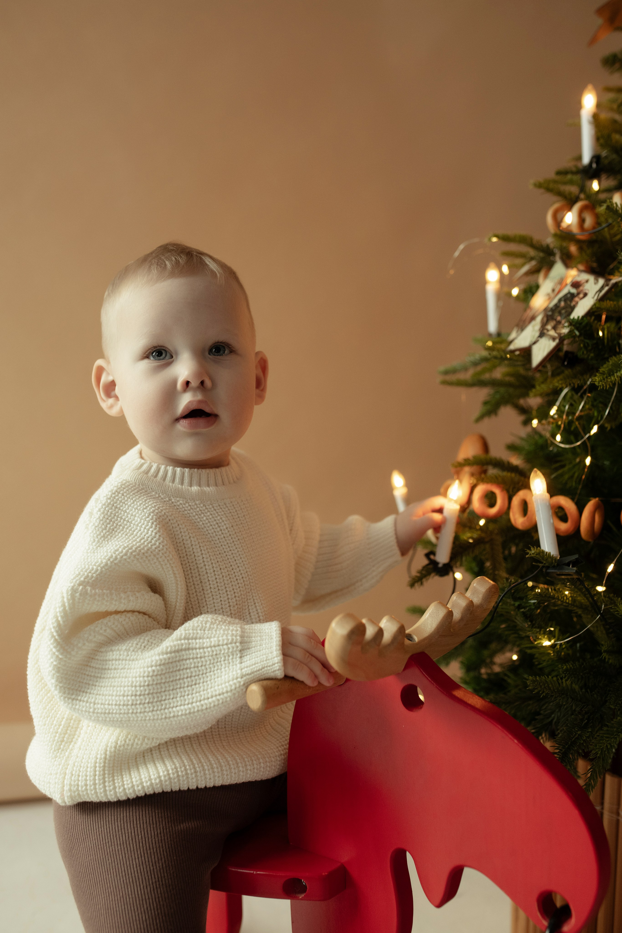 Новогодняя. Дьячкова Мария фотограф