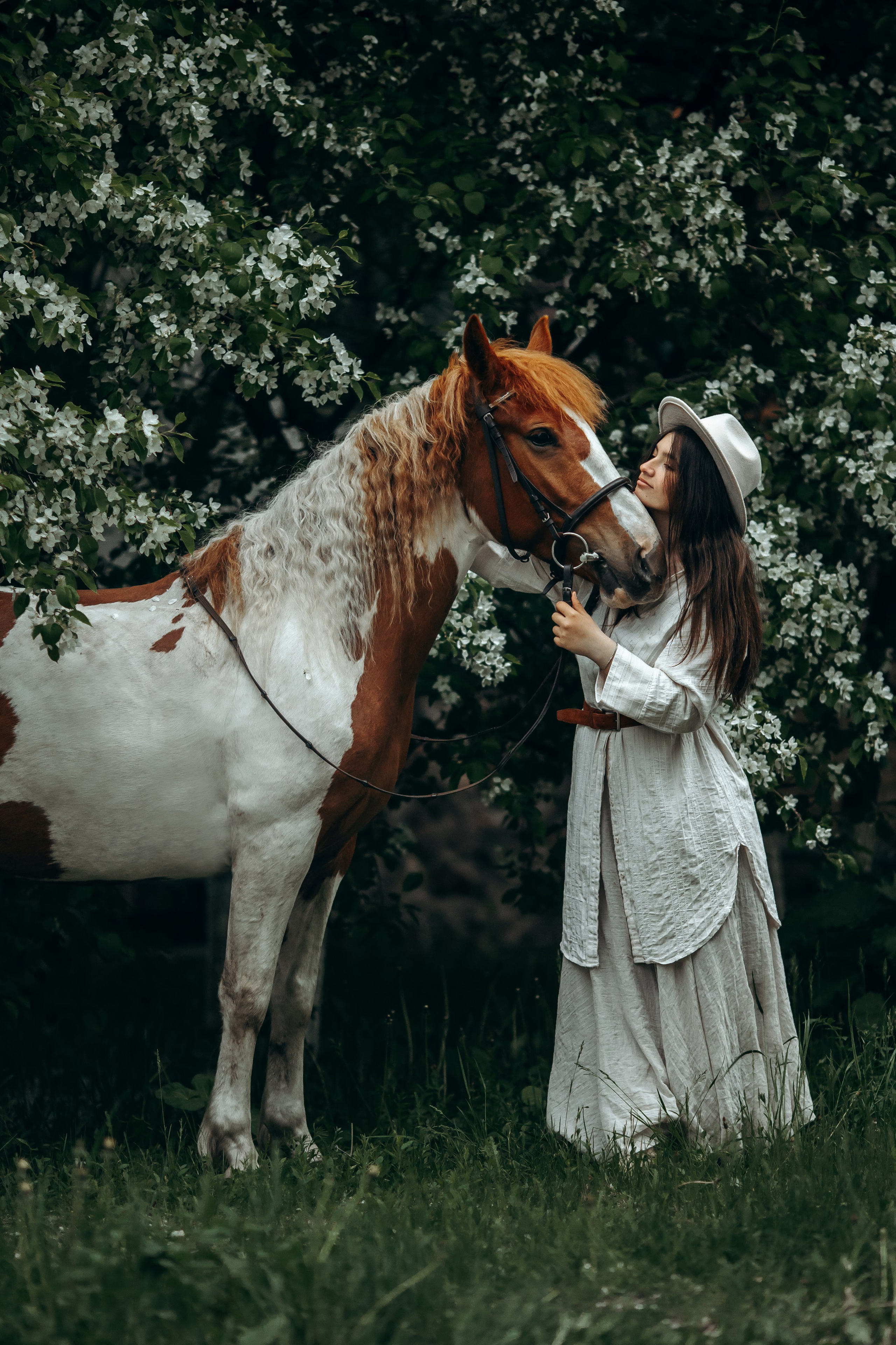 Весенние цветения. Анна Молчанова конный фотограф в Тюмени | фотосессии с лошадьми Тюмень