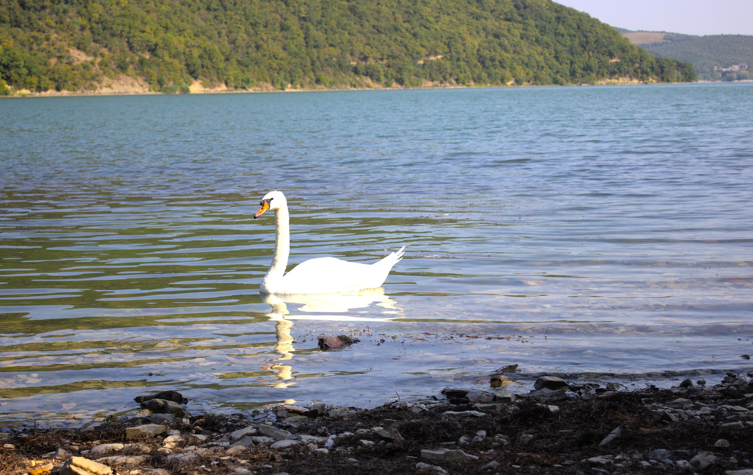 Пейзаж. Главная