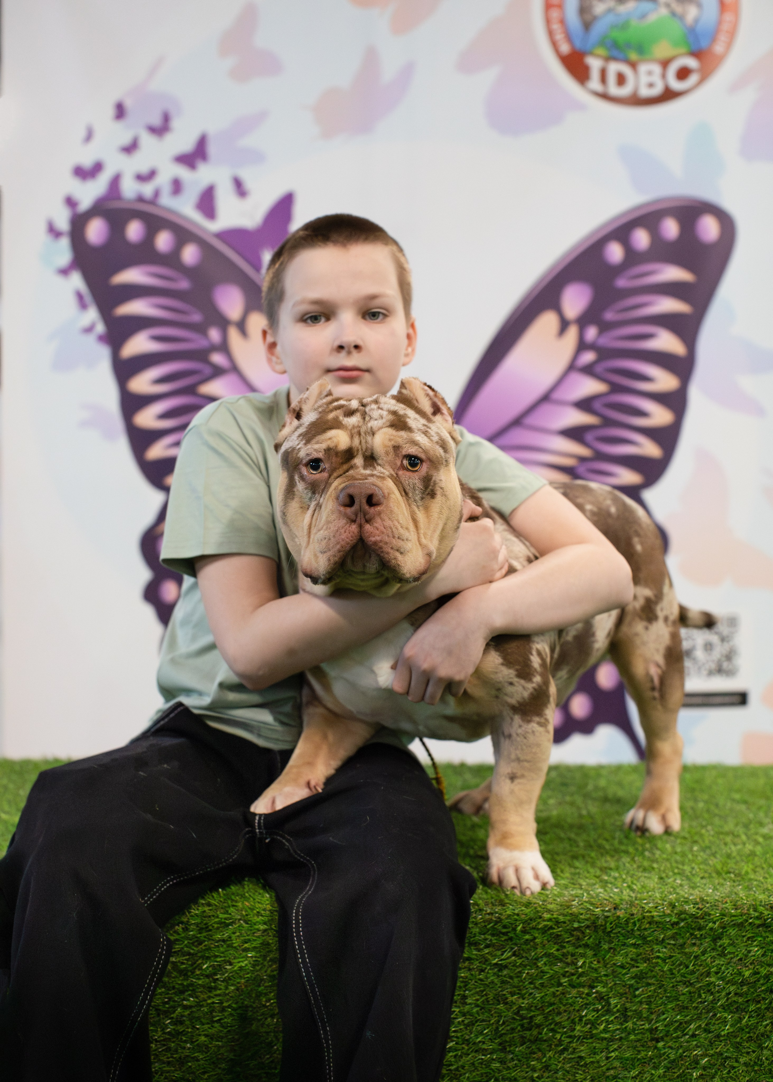 Выставки. Портретная и семейная съемка. Фотограф анималист