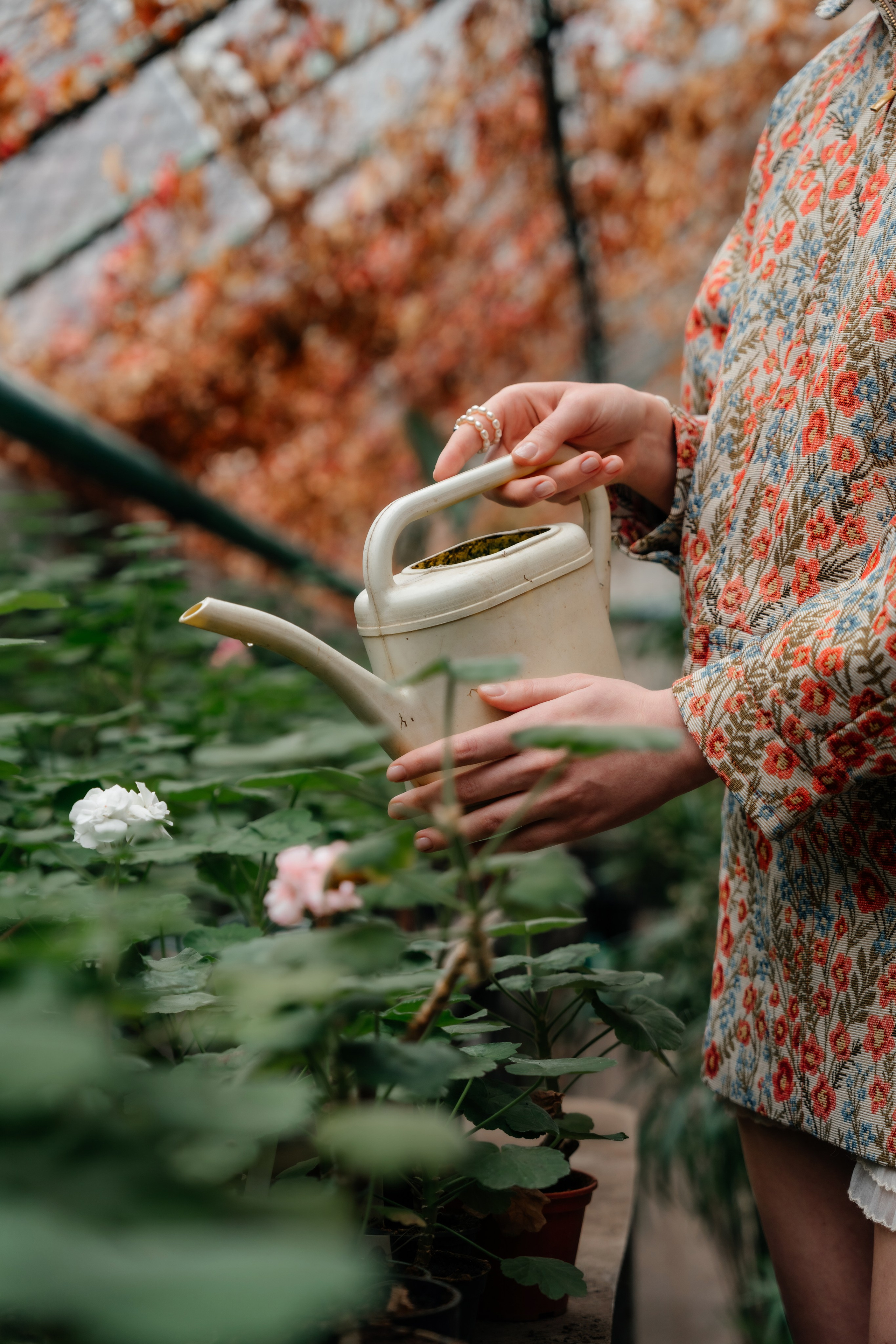 Ботанический сад. Свадебный и семейный фотограф Надежда Соловьева