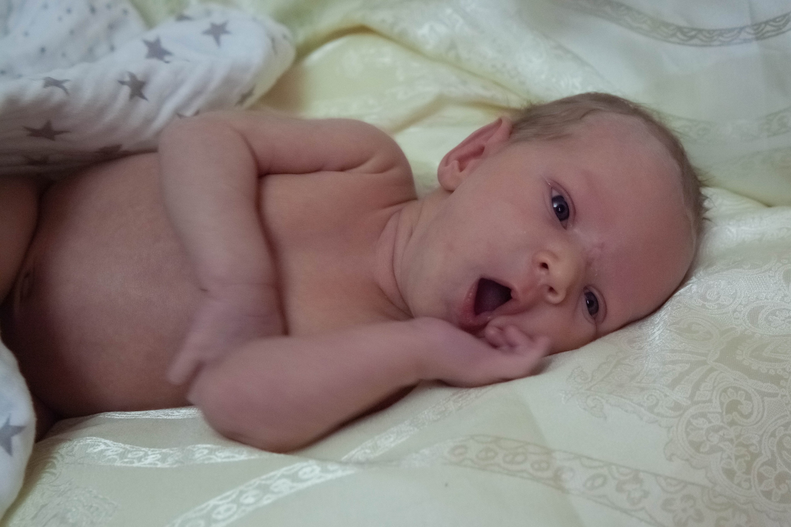 Домовенок. Лена Румянцева — репортажный, детский и семейный фотограф в Москве