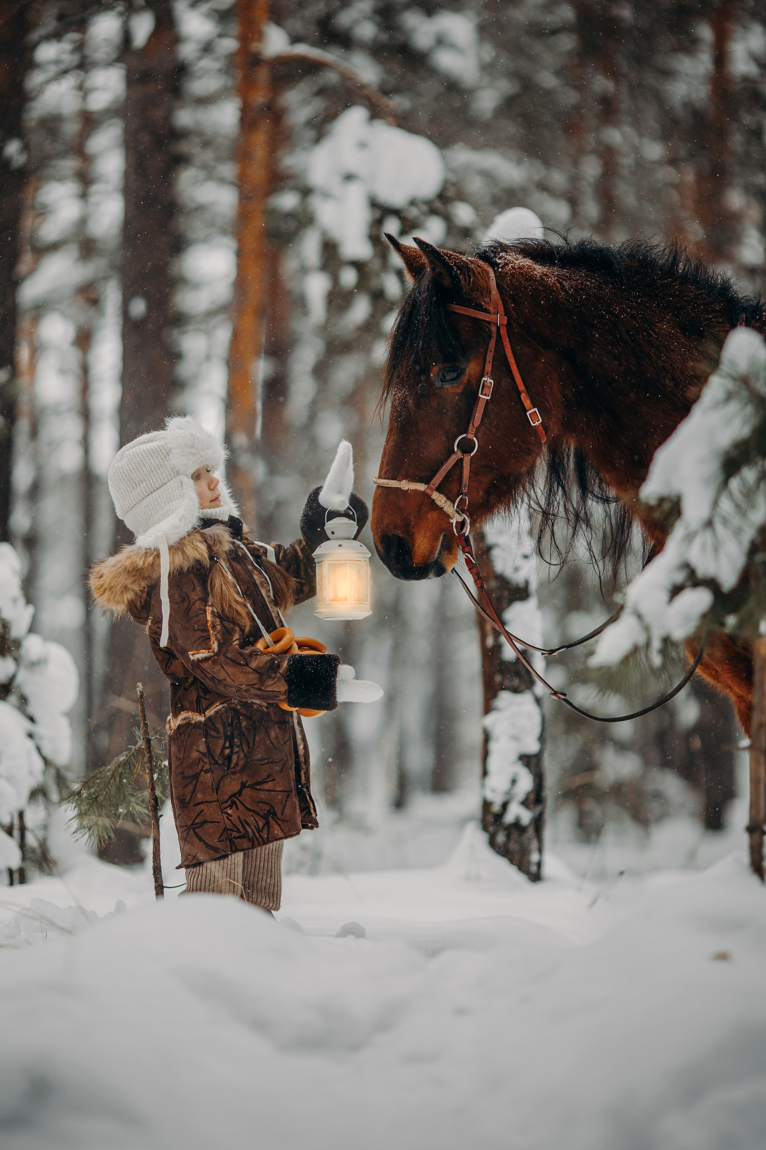 Тоша и баранки. Анна Молчанова конный фотограф в Тюмени | фотосессии с лошадьми Тюмень