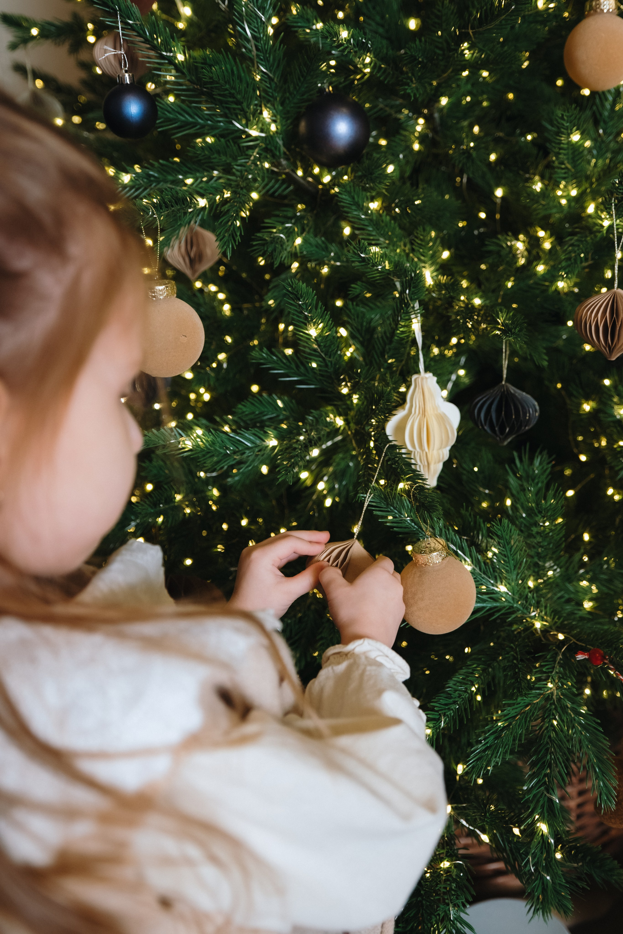 Семейная съемка (студия). Serg_film