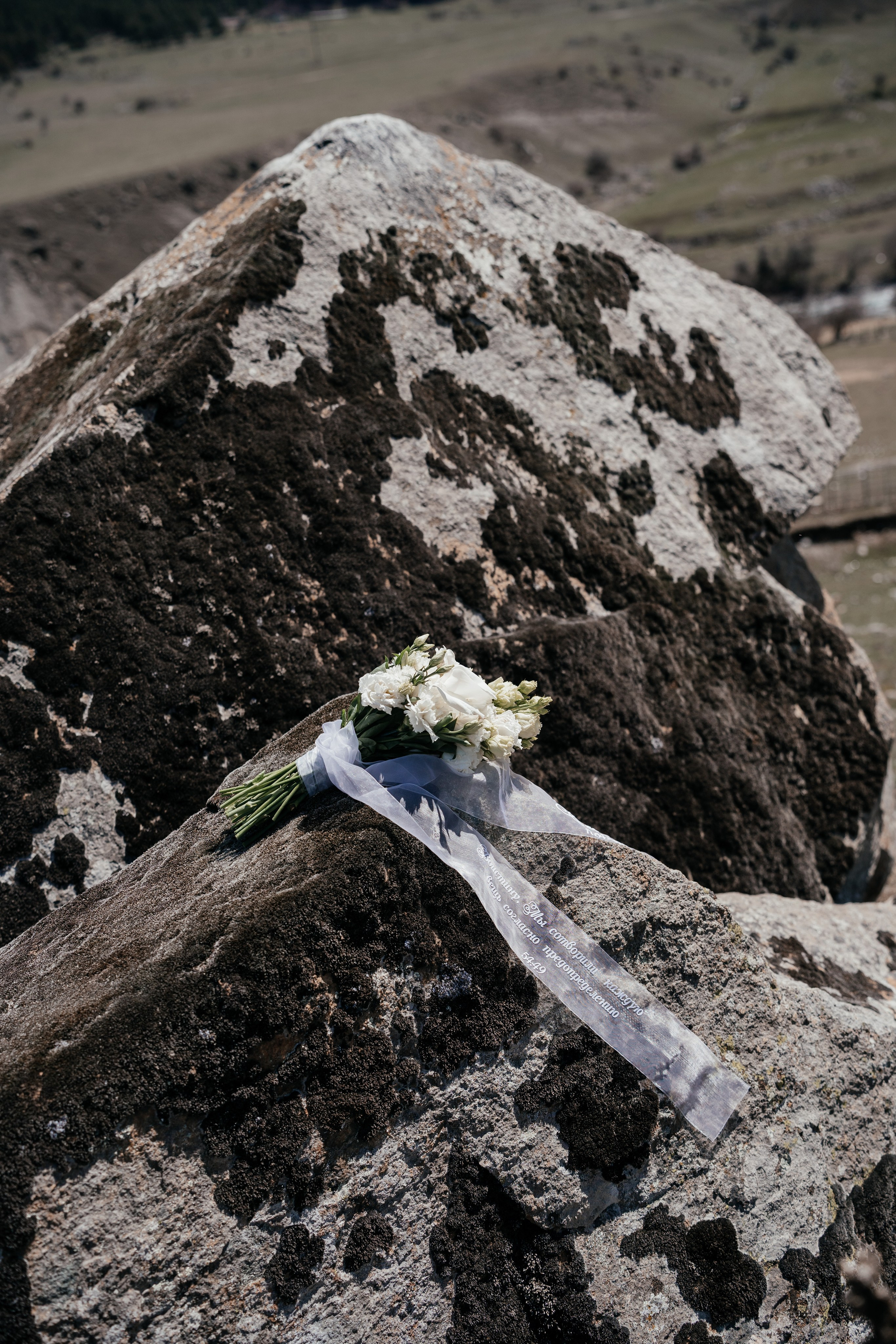 Фотограф Диана Семенова