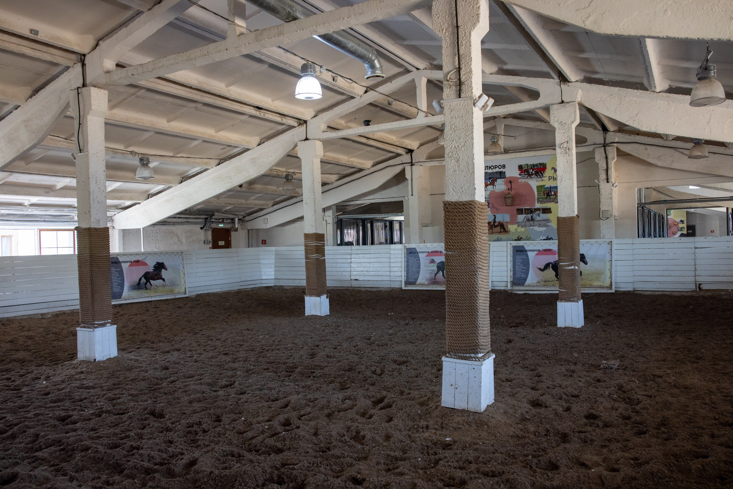 Поездка на поле Кулеково. Фотограф в Туле Крупский АнДРей. Фотостудия «КАДР71» в Туле