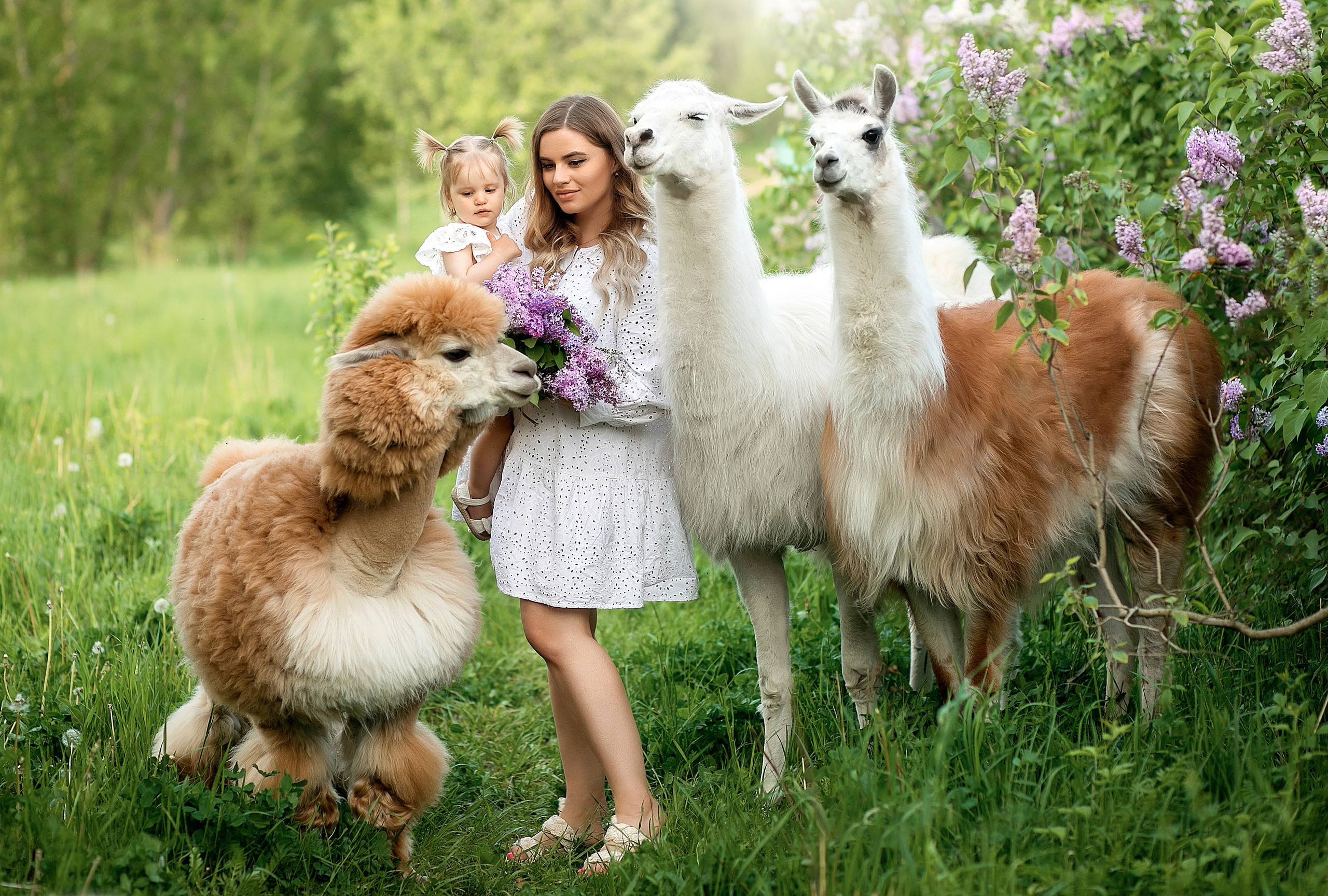 Свадебный и семейный фотограф в Туле и Москве Полукарова Юлия