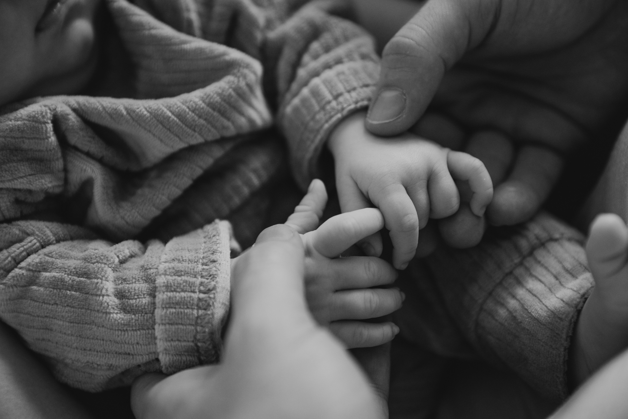 Илья|Ольга|Миша. Фотограф Москва Шептаев Артём