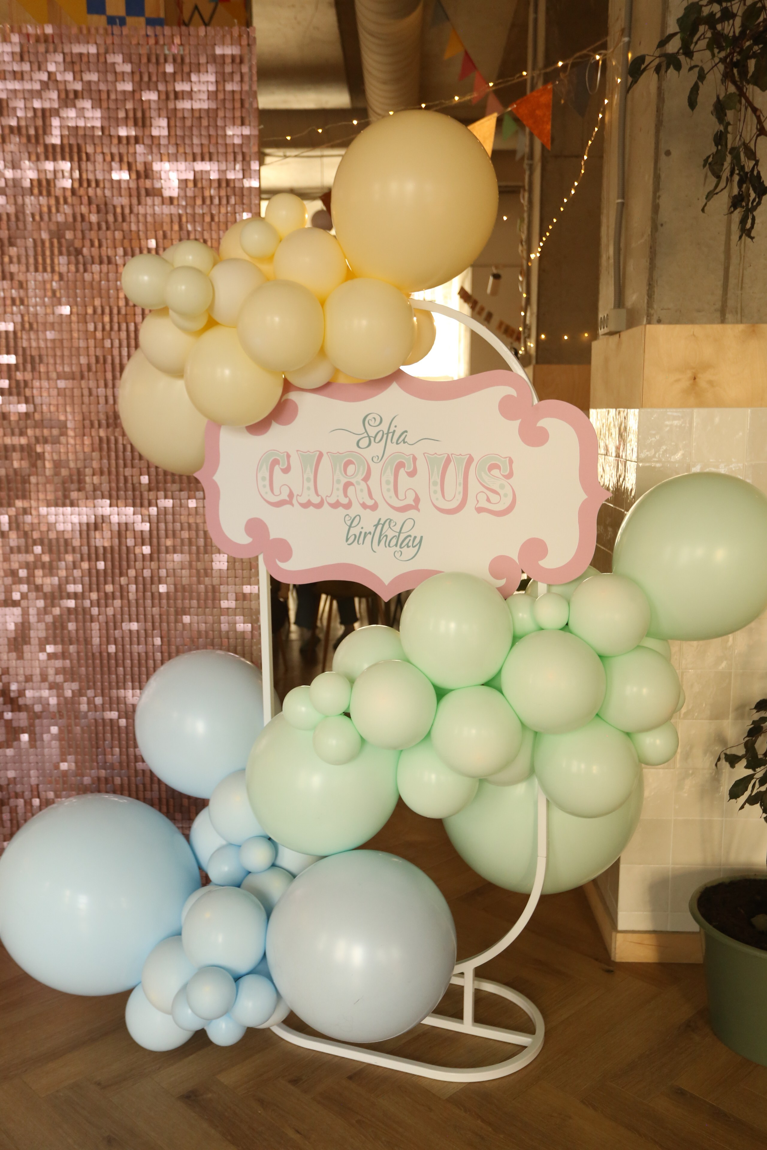 День рождения Софии! Kids play. Детский фотограф, Волгоград