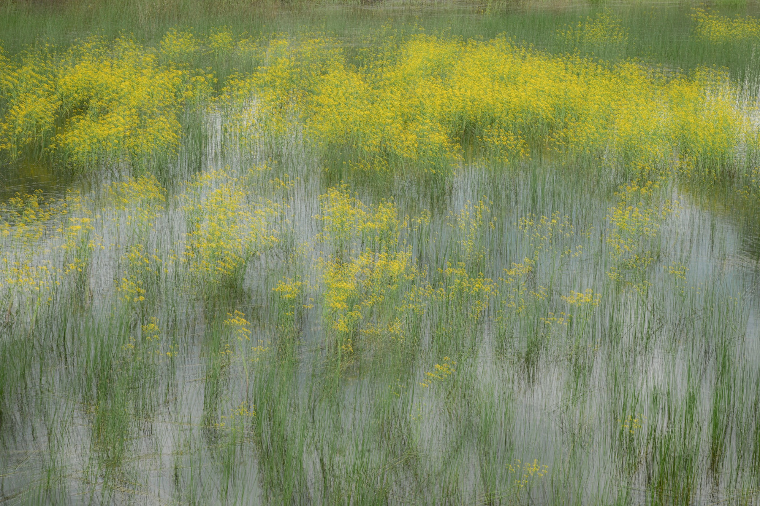 Оренбуржье. Портретный фотограф в Челябинске Катерина Руди