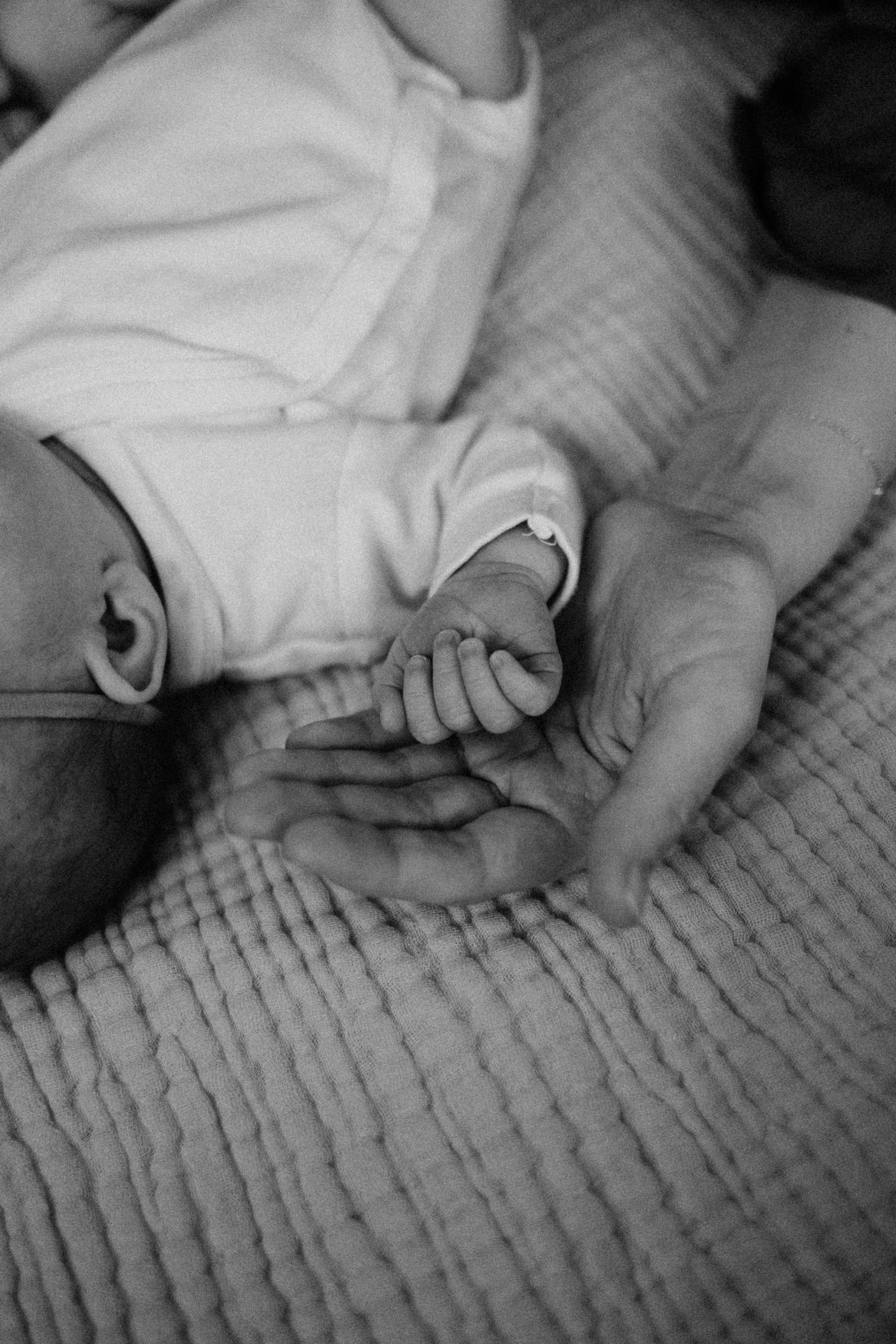 Анастасия/Андрей/Арина/2025. Свадебный и семейный фотограф в Екатеринбурге