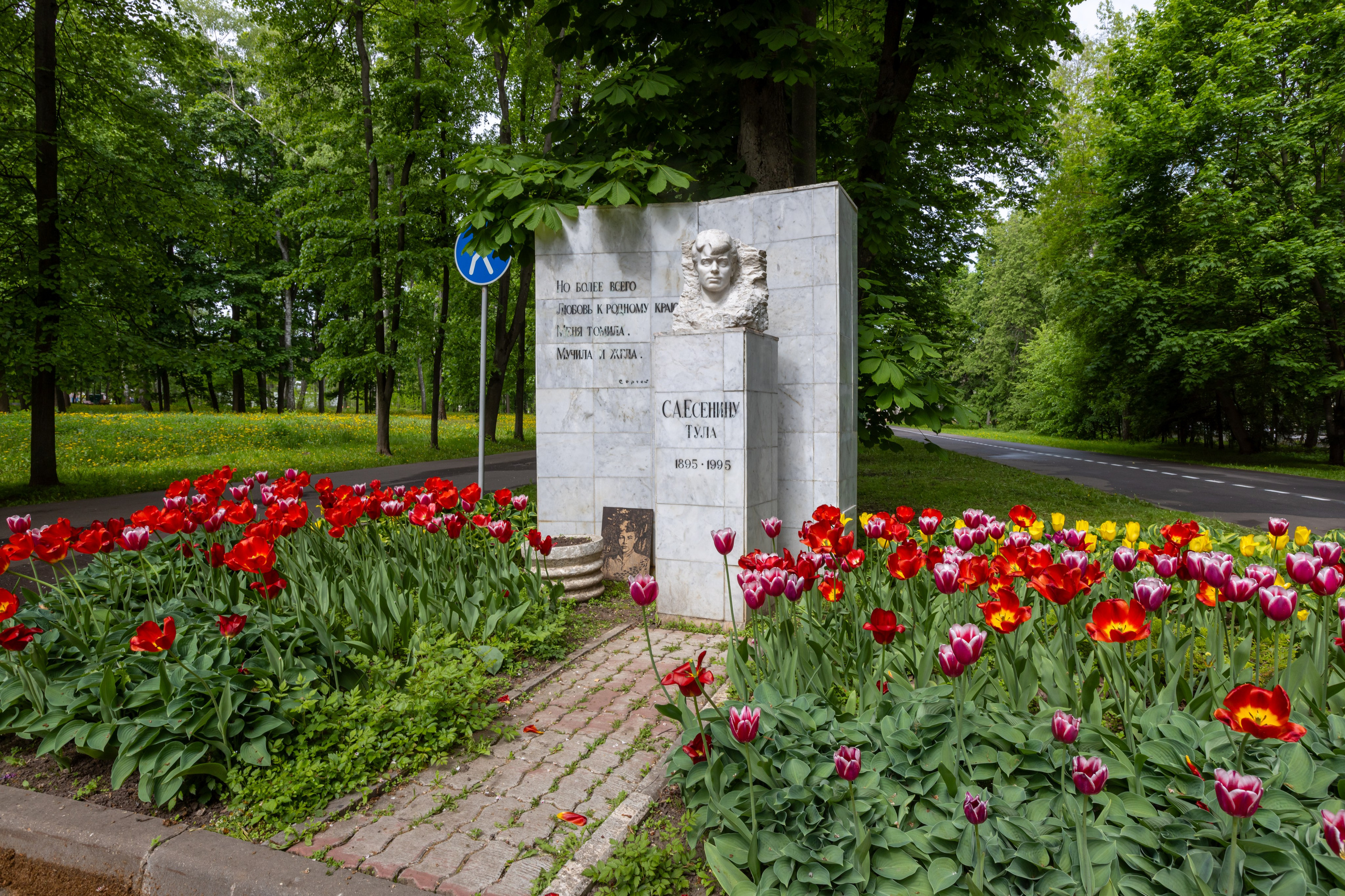 Парк им. П. П. Белоусова г. Тула 2024 г. Фотограф в Туле Крупский АнДРей. Фотостудия «КАДР71» в Туле
