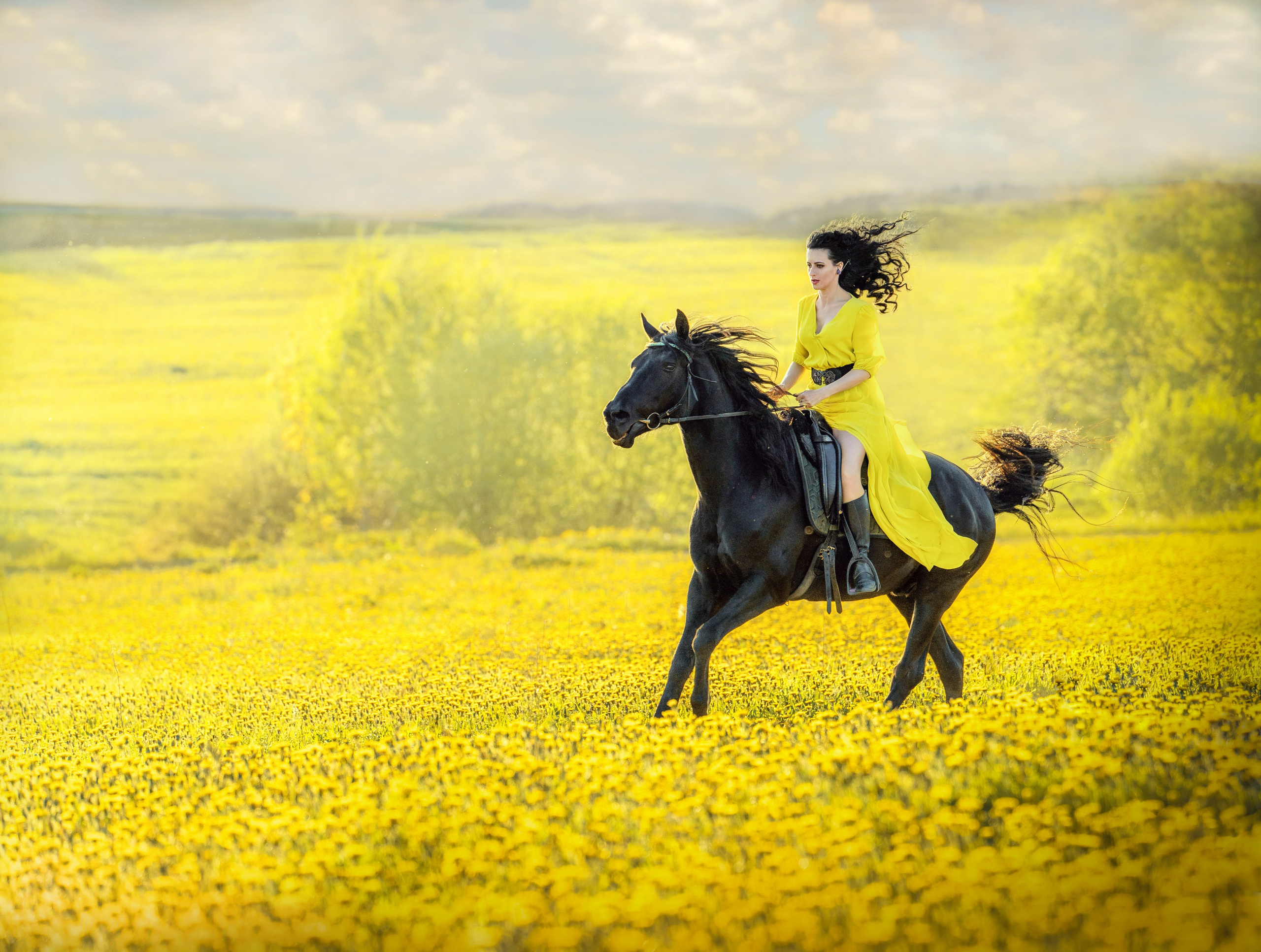 Одуванчиковое поле. Фотограф Дарья Соколовская