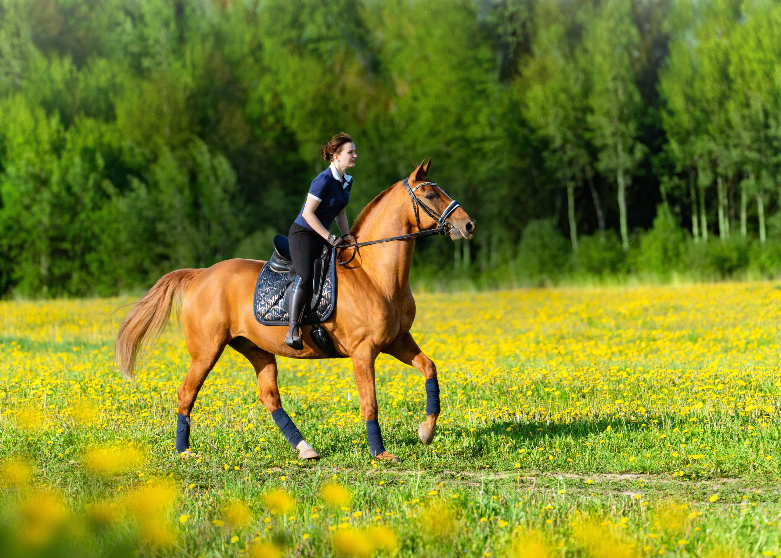 Тренировка. Фотограф Дарья Соколовская