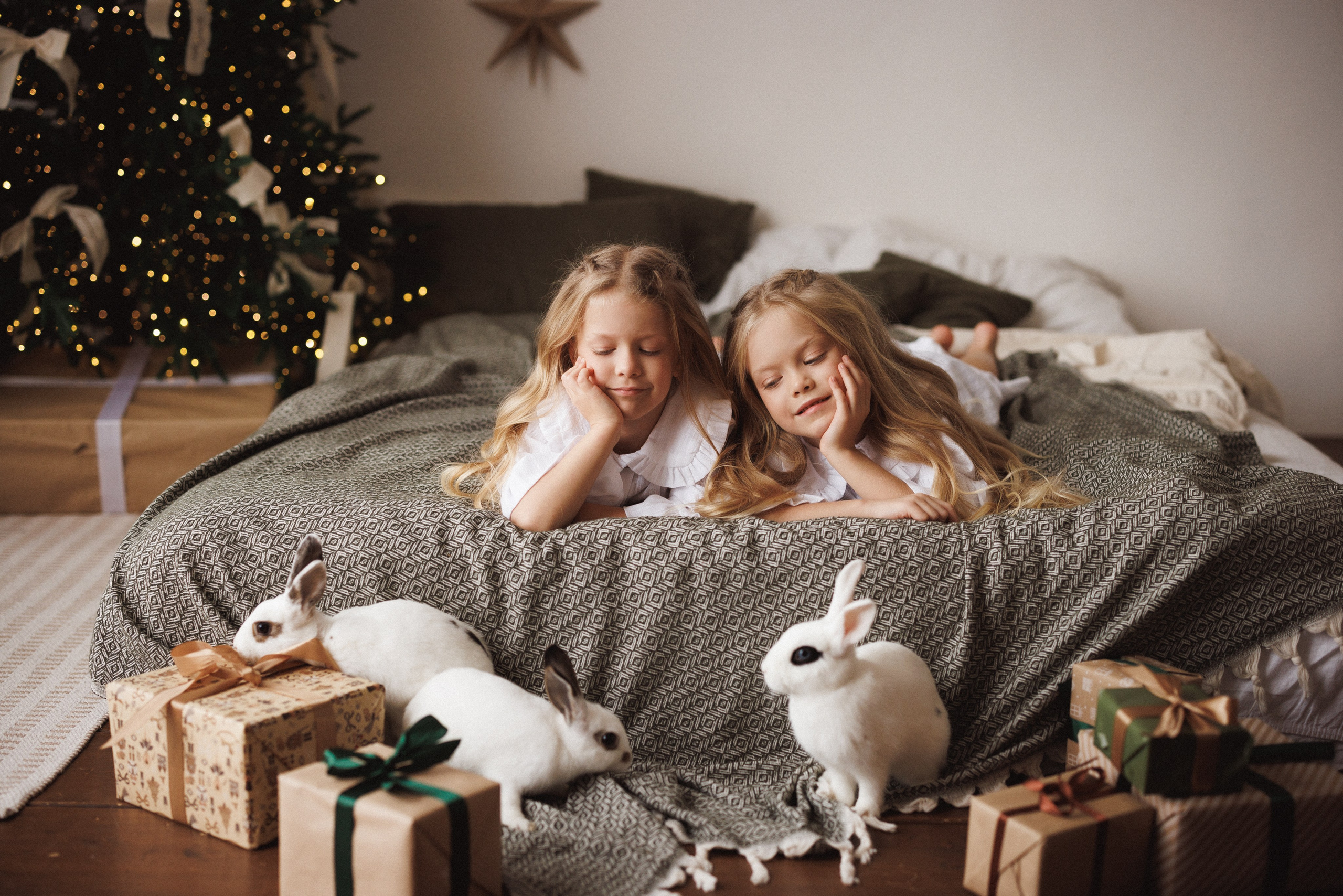 Новогодняя фотосессия в фотостудии «Mestone», город Краснодар. Семейный и детский фотограф в Краснодаре Анна Трашкова