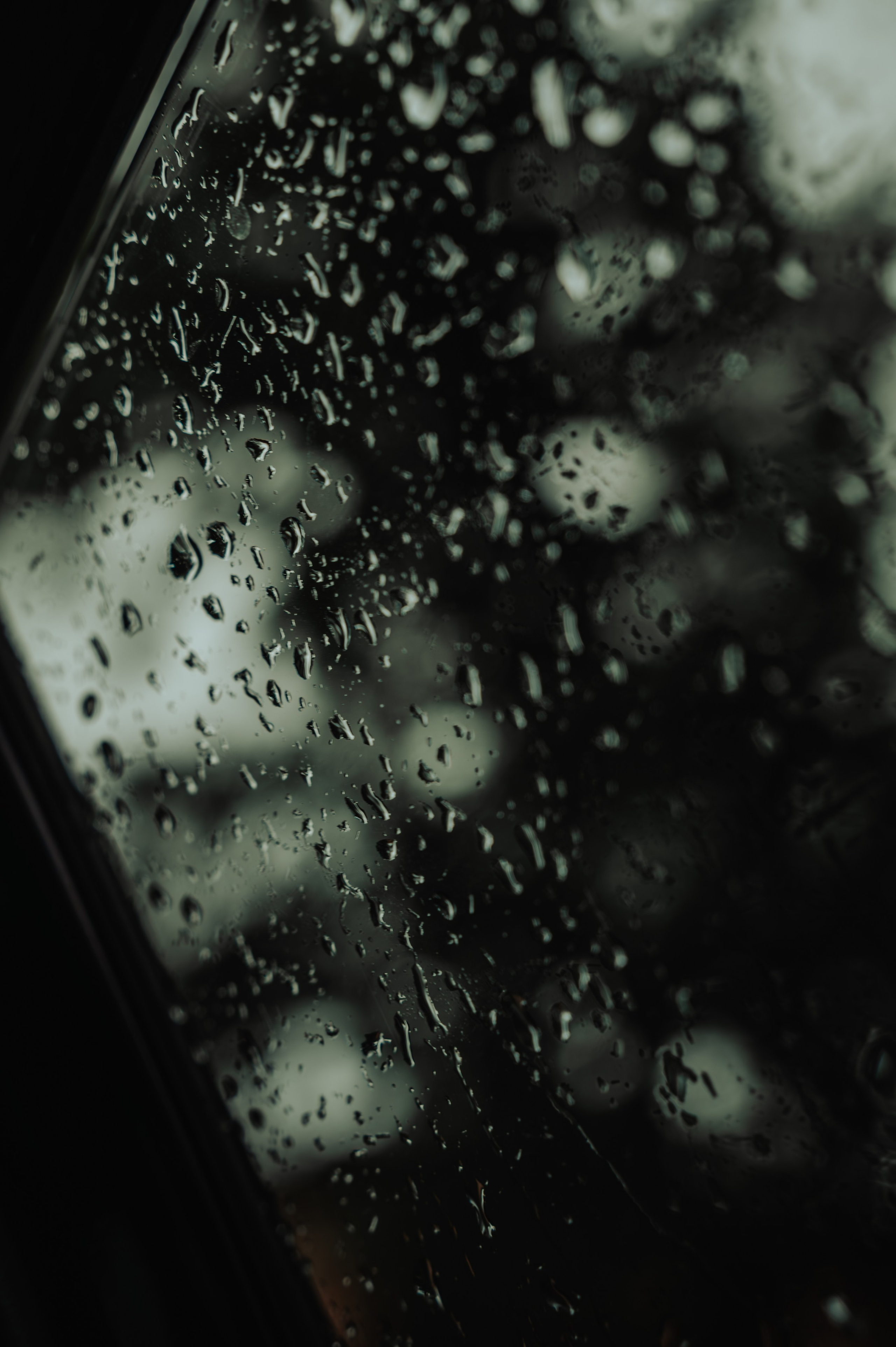 Лав стори для Маргариты и Аделя. Фотограф/видеограф Богдан Голованов