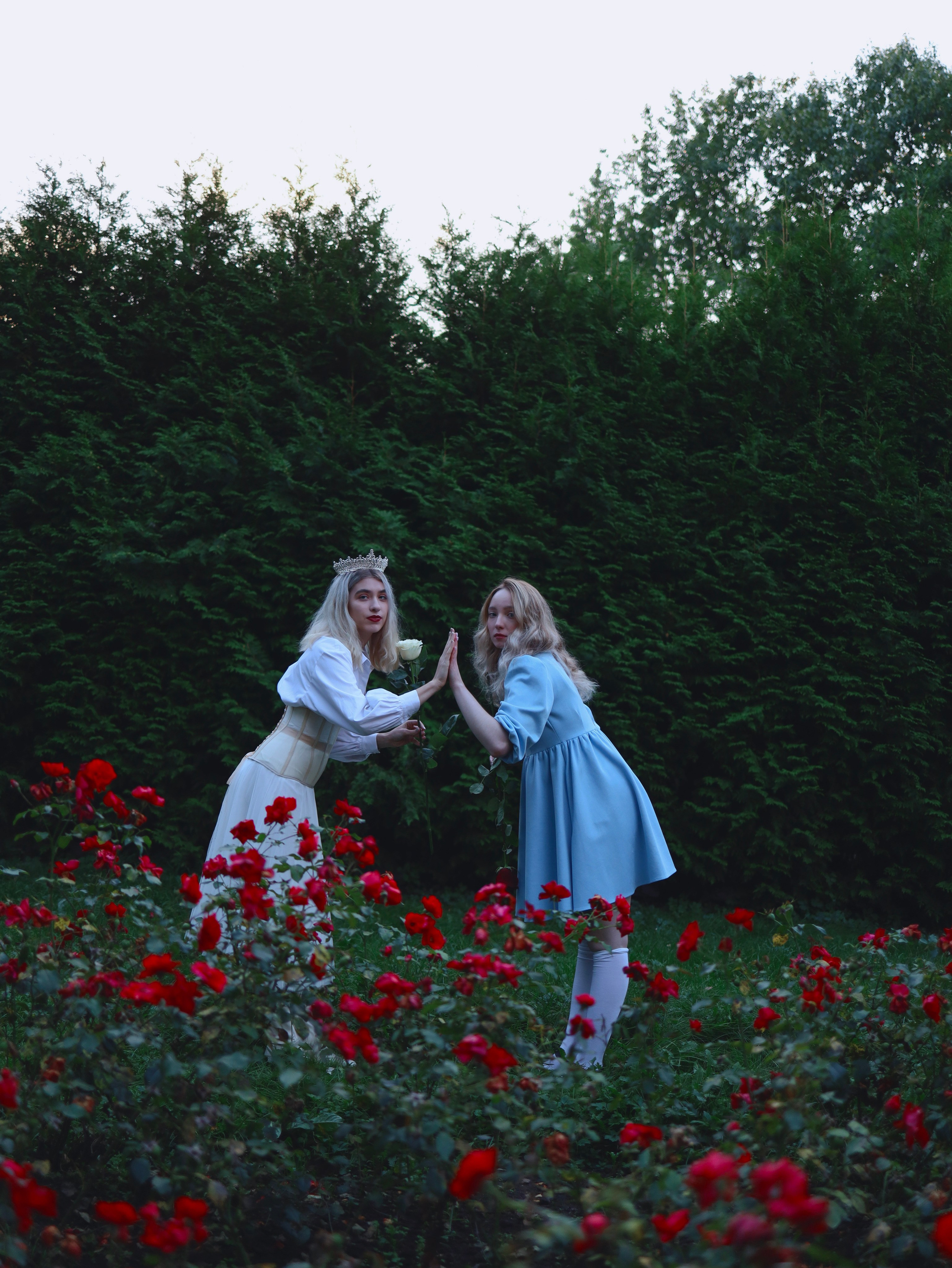 Алиса В Стране Чудес. Главная