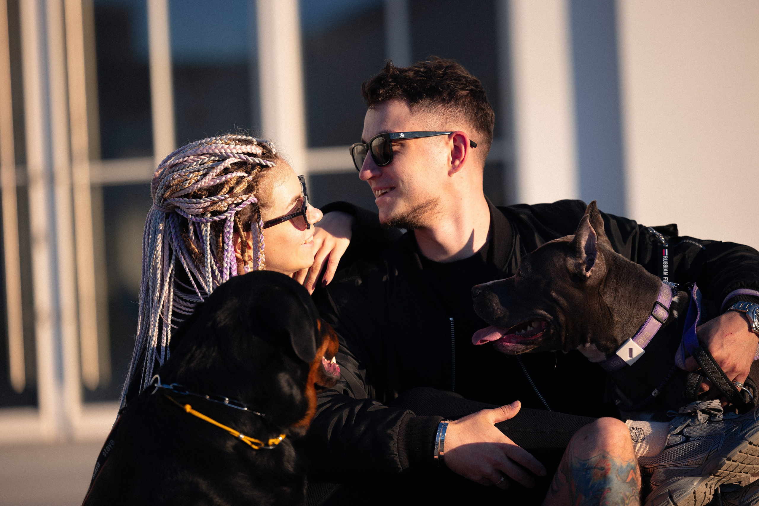 Катя, Леша, Трой и Лея. Фотограф и видеограф анималист Аганина Дарья