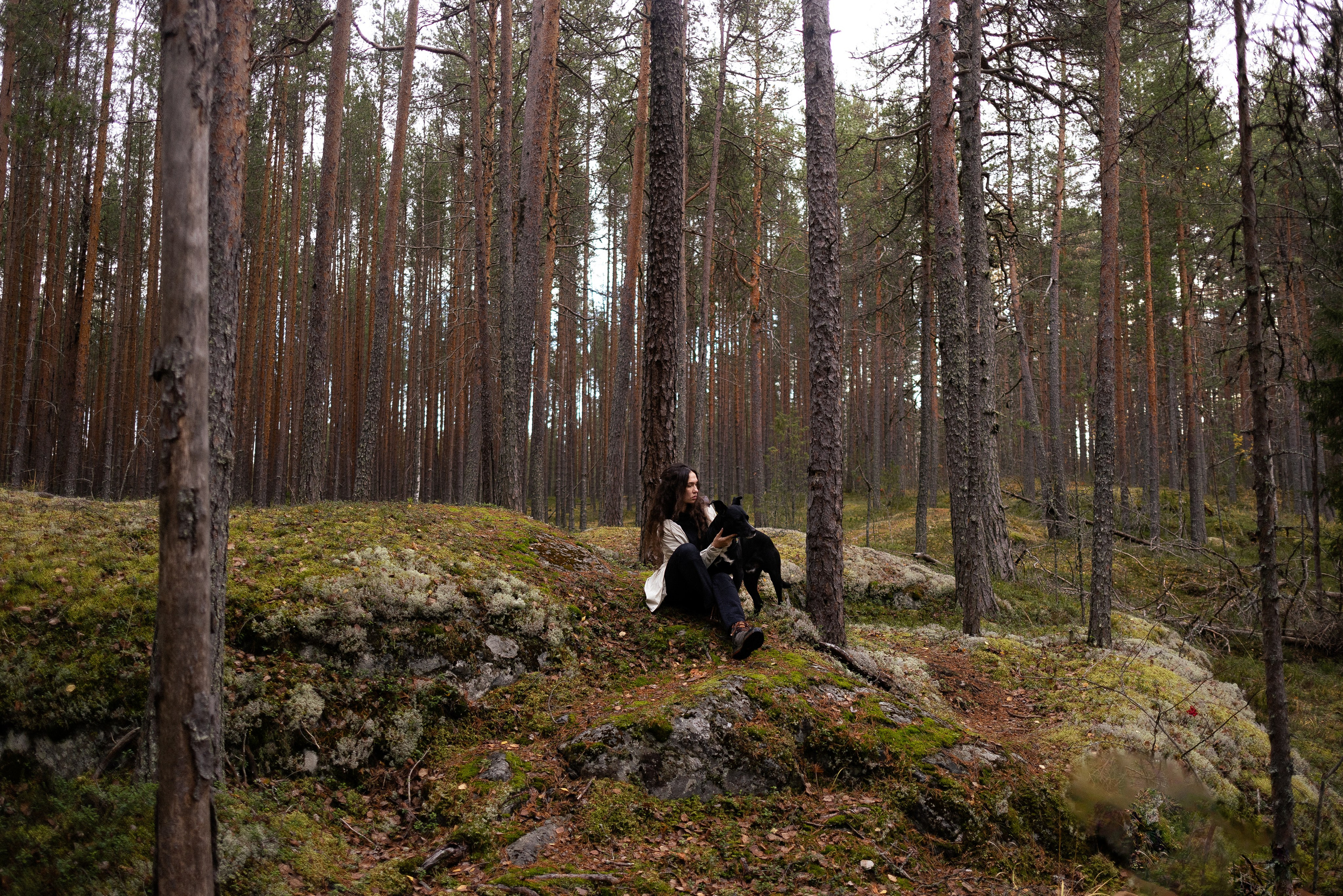 Karelia. Фотограф и видеограф анималист Аганина Дарья