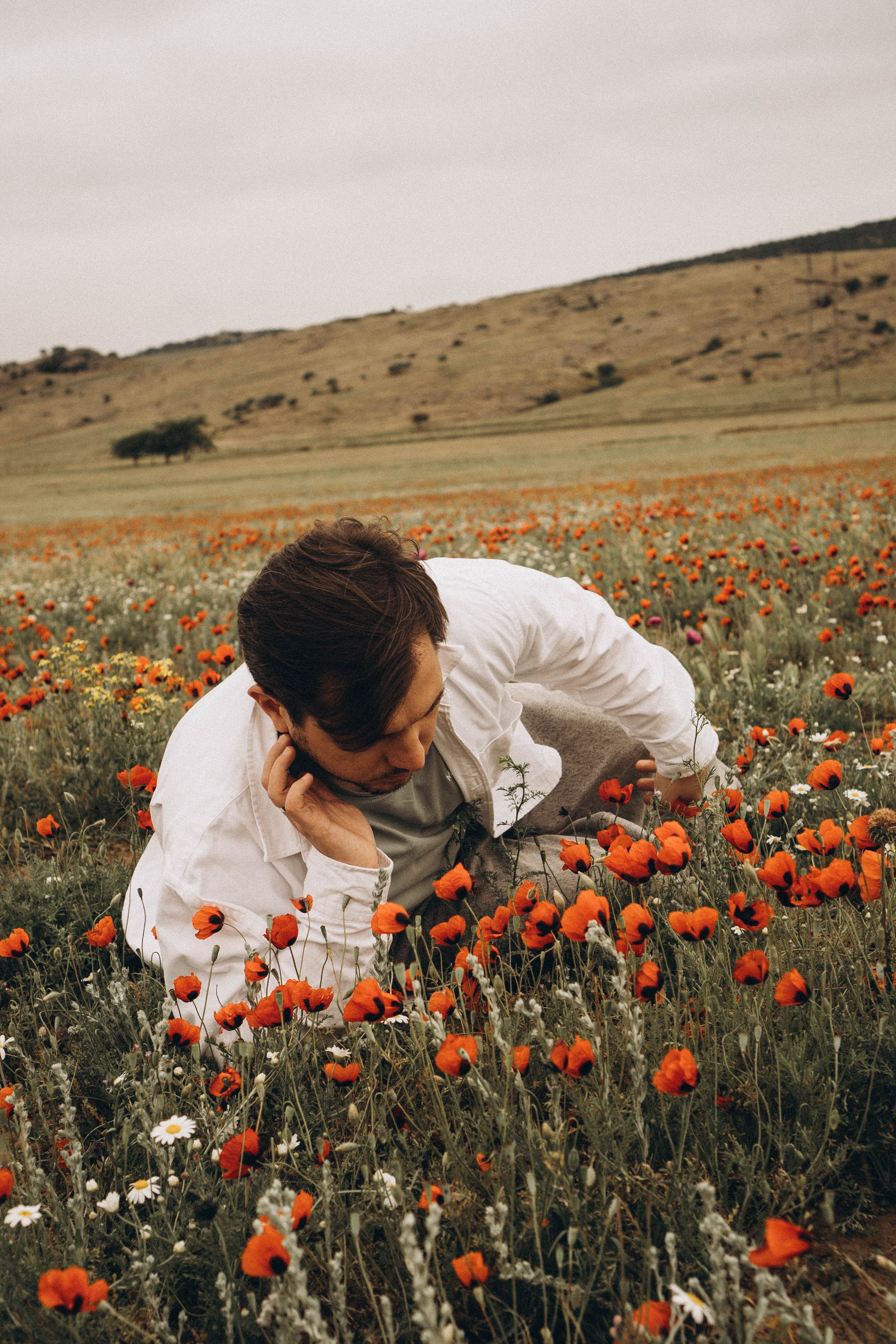 Маки. Профессиональный фотограф, Санкт-Петербург — Виктория Богомолова