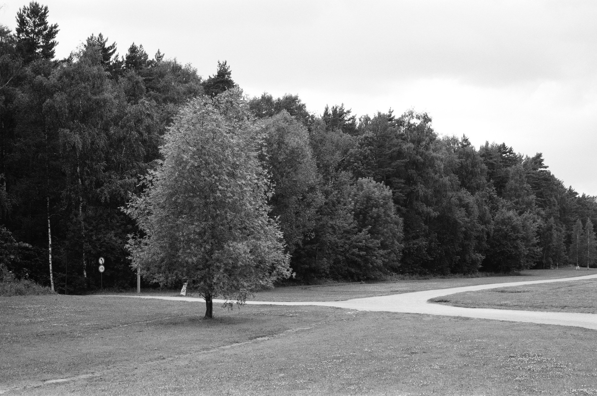 Природа. Другой Павел Поцелуев. Фотограф в 2025 году