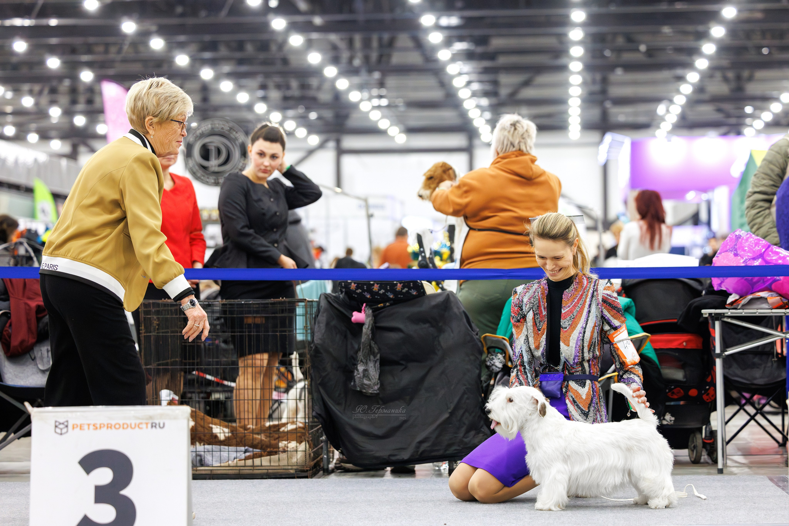 Питер 12-13.12.2025. Фотограф-анималист Юлия Германика